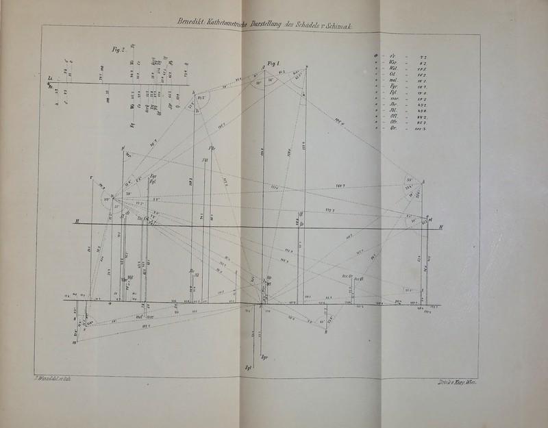 BmeMt^dmieme darsidlmg ,les Schàdels vSchmalc. I i Li. H .4 •r,_ ', »■> / cl ta 'Cb-.-ei^/:. 'msl JU m. Cd. mal. Fjr. Fçl. mar. Jtr. M. OFl. Ofr. 7Z. ez. tiTZ. fS 2. 18-7. 13-O. 1S-2 dSZ. 't3». g¥2. SS 2. .ol-'-- no «' i ^t.^^-- OccQr Occgl JJfinzslcùUtlic/i. i