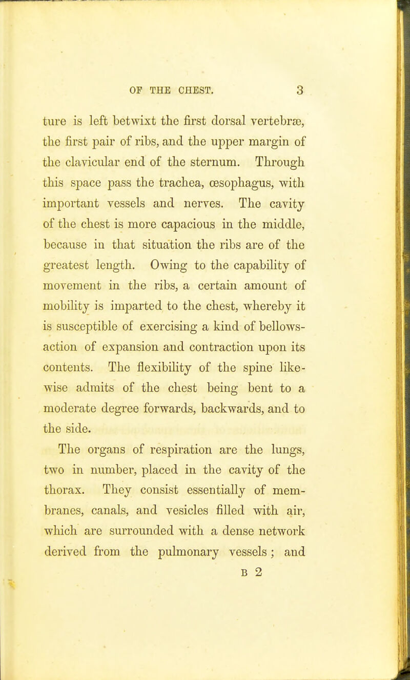 ture is left betwixt the first dorsal vertebras, the first pair of ribs, and the upper margin of the clavicular end of the sternum. Through this space pass the trachea, oesophagus, with important vessels and nerves. The cavity of the chest is more capacious in the middle, because in that situation the ribs are of the greatest length. Owing to the capability of movement in the ribs, a certain amount of mobility is imparted to the chest, whereby it is susceptible of exercising a kind of bellows- action of expansion and contraction upon its contents. The flexibility of the spine like- wise admits of the chest being bent to a moderate degree forwards, backwards, and to the side. The organs of respiration are the lungs, two in number, placed in the cavity of the thorax. They consist essentially of mem- branes, canals, and vesicles filled with air, which are surrounded with a dense network derived from the pulmonary vessels; and B 2