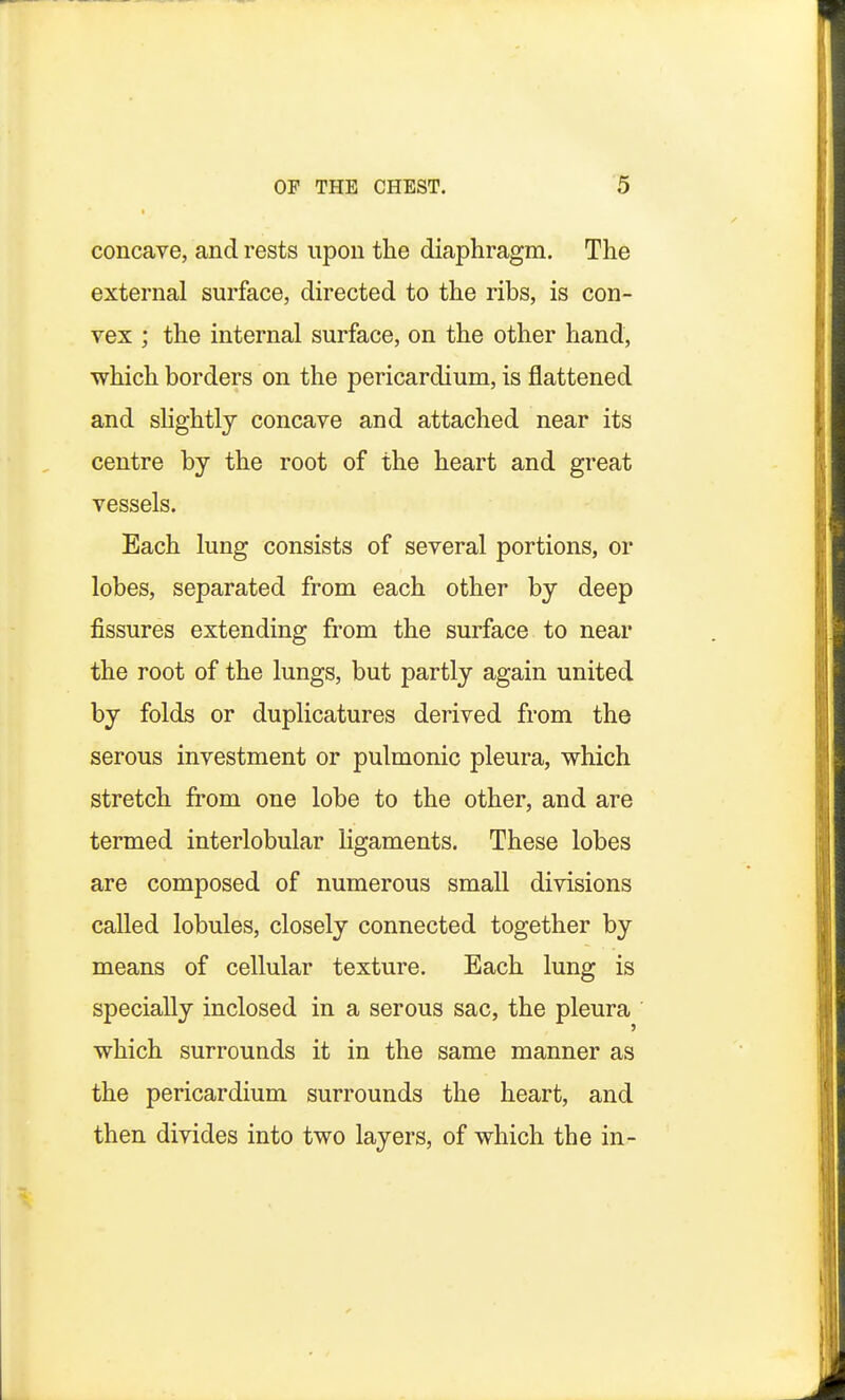 concave, and rests upon the diaphragm. The external surface, directed to the ribs, is con- vex ; the internal surface, on the other hand, which borders on the pericardium, is flattened and slightly concave and attached near its centre by the root of the heart and great vessels. Each lung consists of several portions, or lobes, separated from each other by deep fissures extending from the surface to near the root of the lungs, but partly again united by folds or duplicatures derived from the serous investment or pulmonic pleura, which stretch from one lobe to the other, and are termed interlobular ligaments. These lobes are composed of numerous small divisions called lobules, closely connected together by means of cellular texture. Each lung is specially inclosed in a serous sac, the pleura which surrounds it in the same manner as the pericardium surrounds the heart, and then divides into two layers, of which the in-