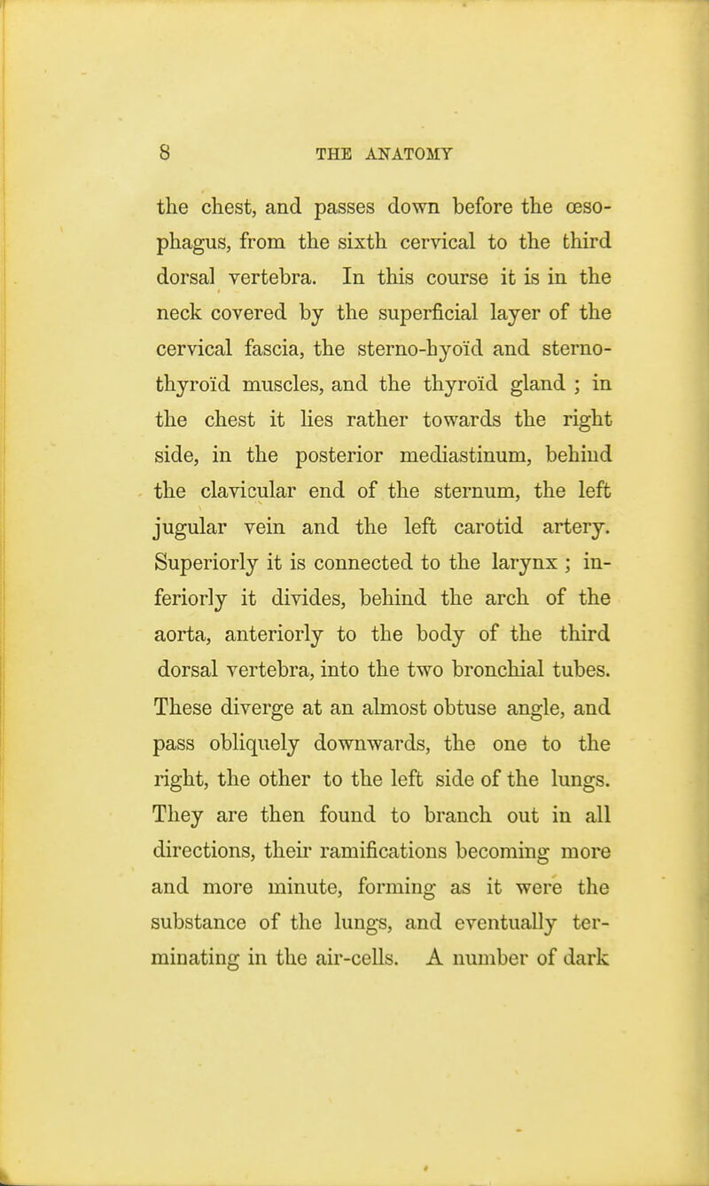 the chest, and passes down before the oeso- phagus, from the sixth cervical to the third dorsal vertebra. In this course it is in the neck covered by the superficial layer of the cervical fascia, the sterno-hyoid and sterno- thyroid muscles, and the thyroid gland ; in the chest it lies rather towards the right side, in the posterior mediastinum, behind the clavicular end of the sternum, the left jugular vein and the left carotid artery. Superiorly it is connected to the larynx ; in- feriorly it divides, behind the arch of the aorta, anteriorly to the body of the third dorsal vertebra, into the two bronchial tubes. These diverge at an almost obtuse angle, and pass obliquely downwards, the one to the right, the other to the left side of the lungs. They are then found to branch out in all directions, their ramifications becoming more and more minute, forming as it were the substance of the lungs, and eventually ter- minating in the air-cells. A number of dark