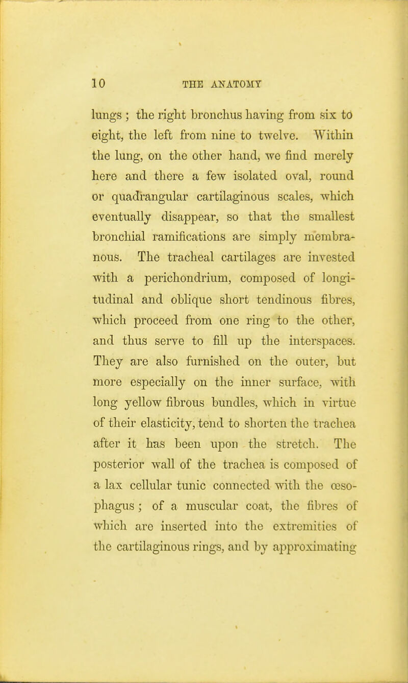 lungs ; the right bronchus having from six to eight, the left from nine to twelve. Within the lung, on the other hand, we find merely here and there a few isolated oval, round or quadrangular cartilaginous scales, which eventually disappear, so that the smallest bronchial ramifications are simply membra- nous. The tracheal cartilages are invested with a perichondrium, composed of longi- tudinal and oblique short tendinous fibres, which jDroceed from one ring to the other, and thus serve to fill up the interspaces. They are also furnished on the outer, but more especially on the inner surface, with long yellow fibrous bundles, which in virtue of their elasticity, tend to shorten the trachea after it has been upon the stretch. The posterior wall of the trachea is composed of a lax cellular tunic connected with the oeso- phagus ; of a muscular coat, the fibres of which are inserted into the extremities of the cartilaginous rings, and by approximating