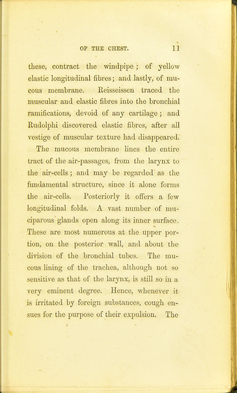 these, contract the windpipe; of yellow elastic longitudinal fibres; and lastly, of mu- cous membrane. Reisseissen traced the muscular and elastic fibres into the bronchial ramifications, devoid of any cartilage; and Rudolphi discovered elastic fibres, after all vestige of muscular texture had disappeared. The mucous membrane lines the entire tract of the air-passages, from the larynx to the air-cells; and may be regarded as the fundamental structure, since it alone forms the air-cells. Posteriorly it offers a few longitudinal folds. A vast number of mu- ciparous glands open along its inner surface. These are most numerous at the upper por- tion, on the posterior wall, and about the division of the bronchial tubes. The mu- cous lining of the trachea, although not so sensitive as that of the larynx, is still so in a very eminent degree. Hence, whenever it is irritated by foreign substances, cough en- sues for the purpose of their expulsion. The