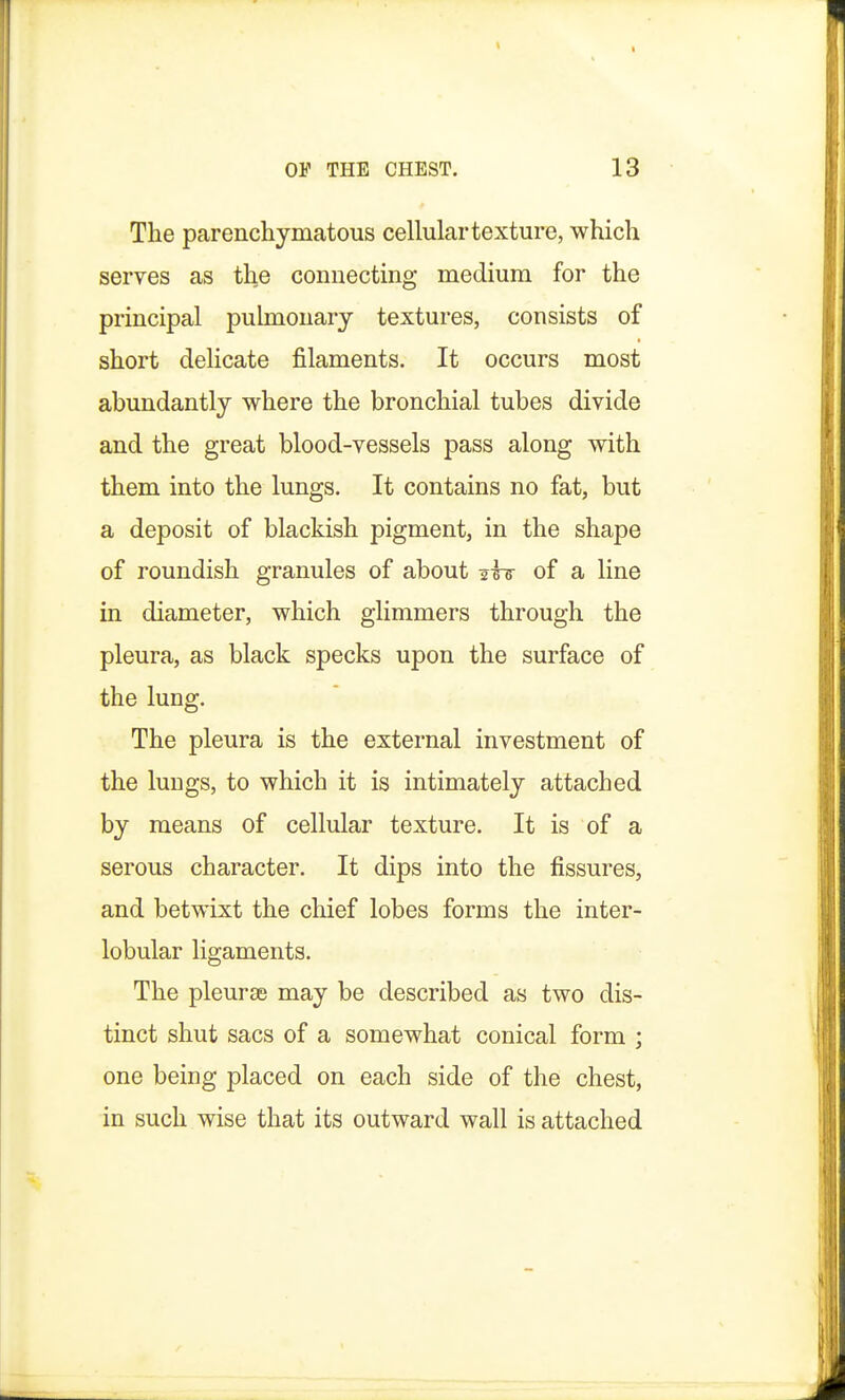 The parenchymatous cellular texture, which serves as the connecting medium for the principal pulmonary textures, consists of short delicate filaments. It occurs most abundantly where the bronchial tubes divide and the great blood-vessels pass along with them into the lungs. It contains no fat, but a deposit of blackish pigment, in the shape of roundish granules of about 2^5- of a line in diameter, which glimmers through the pleura, as black specks upon the surface of the lung. The pleura is the external investment of the lungs, to which it is intimately attached by means of cellular texture. It is of a serous character. It dips into the fissures, and betwixt the chief lobes forms the inter- lobular ligaments. The pleura may be described as two dis- tinct shut sacs of a somewhat conical form ; one being placed on each side of the chest, in such wise that its outward wall is attached
