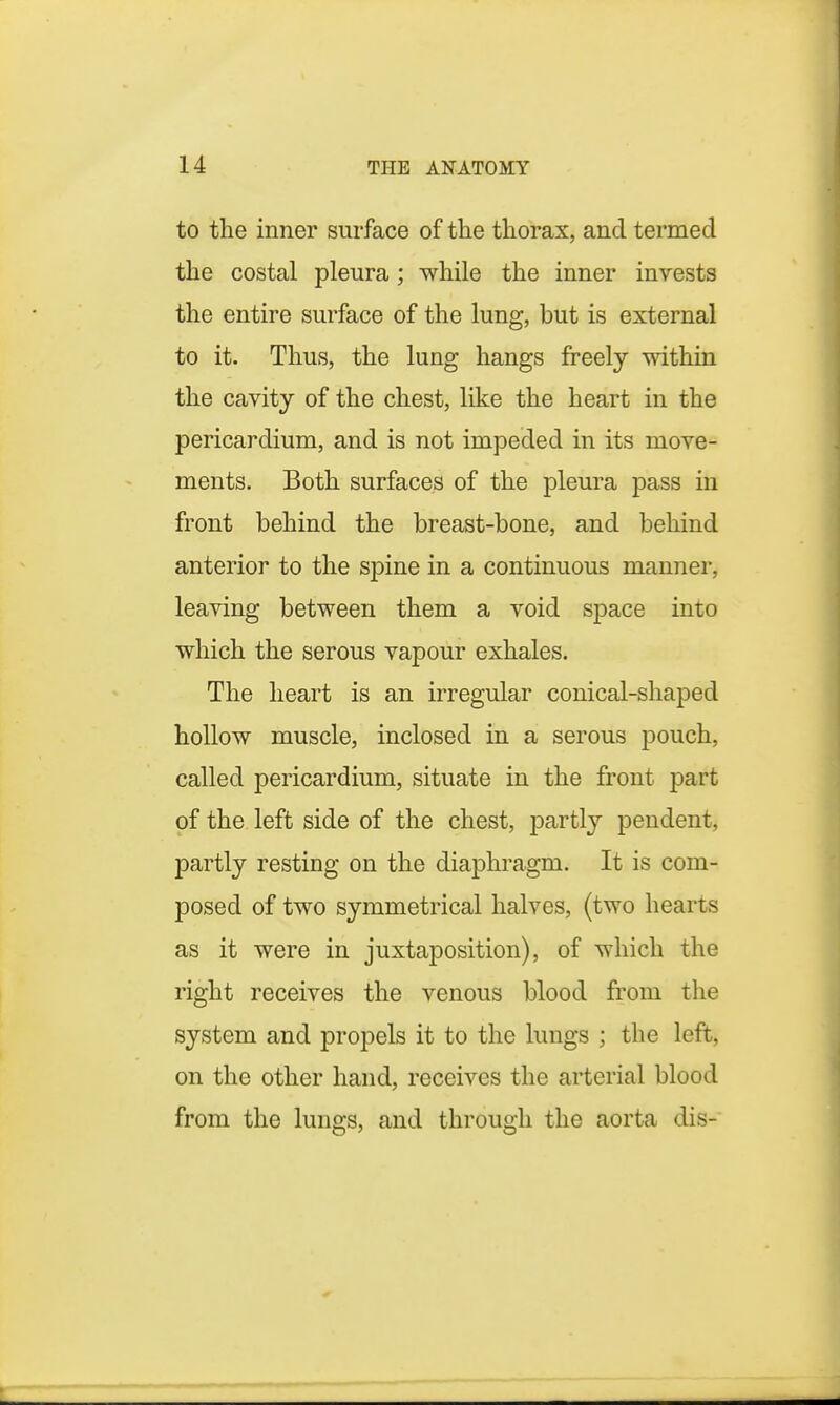 to the inner surface of the thorax, and termed the costal pleura; while the inner invests the entire surface of the lung, but is external to it. Thus, the lung hangs freely within the cavity of the chest, like the heart in the pericardium, and is not impeded in its move- ments. Both surfaces of the pleura pass in front behind the breast-bone, and behind anterior to the spine in a continuous manner, leaving between them a void space into which the serous vapour exhales. The heart is an irregular conical-shaped hollow muscle, inclosed in a serous pouch, called pericardium, situate in the front part of the left side of the chest, partly pendent, partly resting on the diaphragm. It is com- posed of two symmetrical halves, (two hearts as it were in juxtaposition), of which the right receives the venous blood from the system and propels it to the lungs ; the left, on the other hand, receives the arterial blood from the lungs, and through the aorta dis-