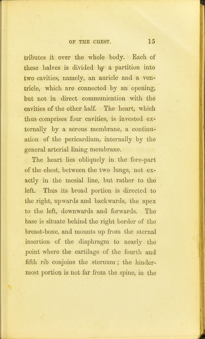 tributes it over the whole body. Each of these halves is divided by a partition into two cavities, namely, an auricle and a ven- tricle, which are connected by an opening, but not in direct communication with the cavities of the other half. The heart, which thus comprises four cavities, is invested ex- ternally by a serous membrane, a continu- ation of the pericardium, internally by the general arterial lining membrane. The heart lies obliquely in the fore-part of the chest, between the two lungs, not ex- actly in the mesial line, but rather to the left. Thus its broad portion is directed to the right, upwards and backwards, the apex to the left, downwards and forwards. The base is situate behind the right border of the breast-bone, and mounts up from the sternal insertion of the diaphragm to nearly the point where the cartilage of the fourth and fifth rib conjoins the sternum ; the hinder- most portion is not far from the spine, in the