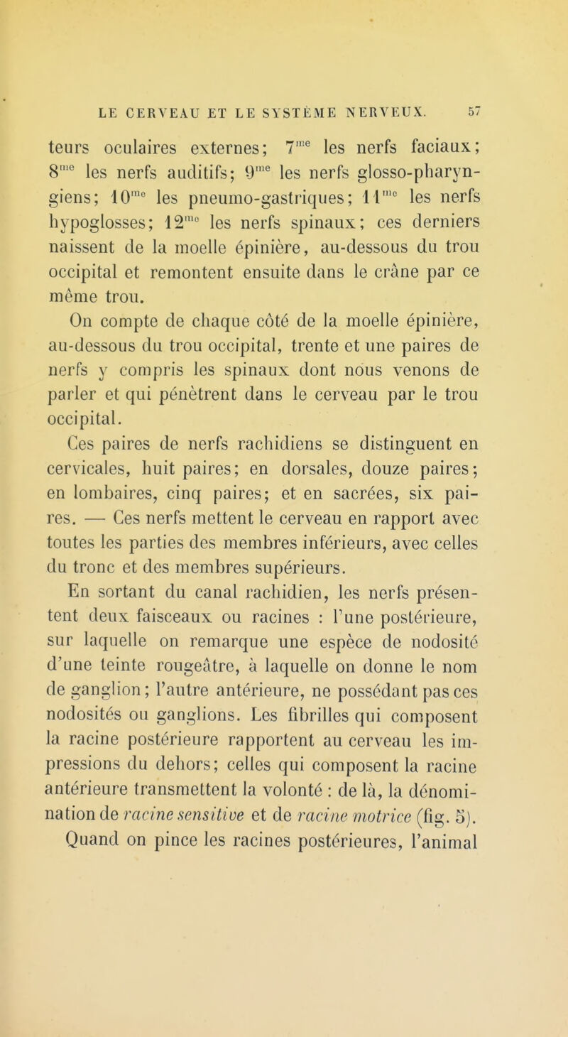 teurs oculaires externes; 7'^ les nerfs faciaux; 8'^ les nerfs auditifs; 9'^ les nerfs glosso-pharyn- giens; 10'° les pneumo-gastriques; 11 les nerfs hypoglosses; 12' les nerfs spinaux; ces derniers naissent de la moelle épinière, au-dessous du trou occipital et remontent ensuite dans le crâne par ce même trou. On compte de chaque côté de la moelle épinière, au-dessous du trou occipital, trente et une paires de nerfs y compris les spinaux dont nous venons de parler et qui pénètrent dans le cerveau par le trou occipital. Ces paires de nerfs rachidiens se distinguent en cervicales, huit paires; en dorsales, douze paires; en lombaires, cinq paires; et en sacrées, six pai- res. — Ces nerfs mettent le cerveau en rapport avec toutes les parties des membres inférieurs, avec celles du tronc et des membres supérieurs. En sortant du canal rachidien, les nerfs présen- tent deux faisceaux ou racines : Tune postérieure, sur laquelle on remarque une espèce de nodosité d'une teinte rougeâtre, à laquelle on donne le nom de ganglion; l'autre antérieure, ne possédant pas ces nodosités ou ganglions. Les fibrilles qui composent la racine postérieure rapportent au cerveau les im- pressions du dehors; celles qui composent la racine antérieure transmettent la volonté : de là, la dénomi- nation de racine sensitiue et de racine motrice (fig. 5). Quand on pince les racines postérieures, l'animal