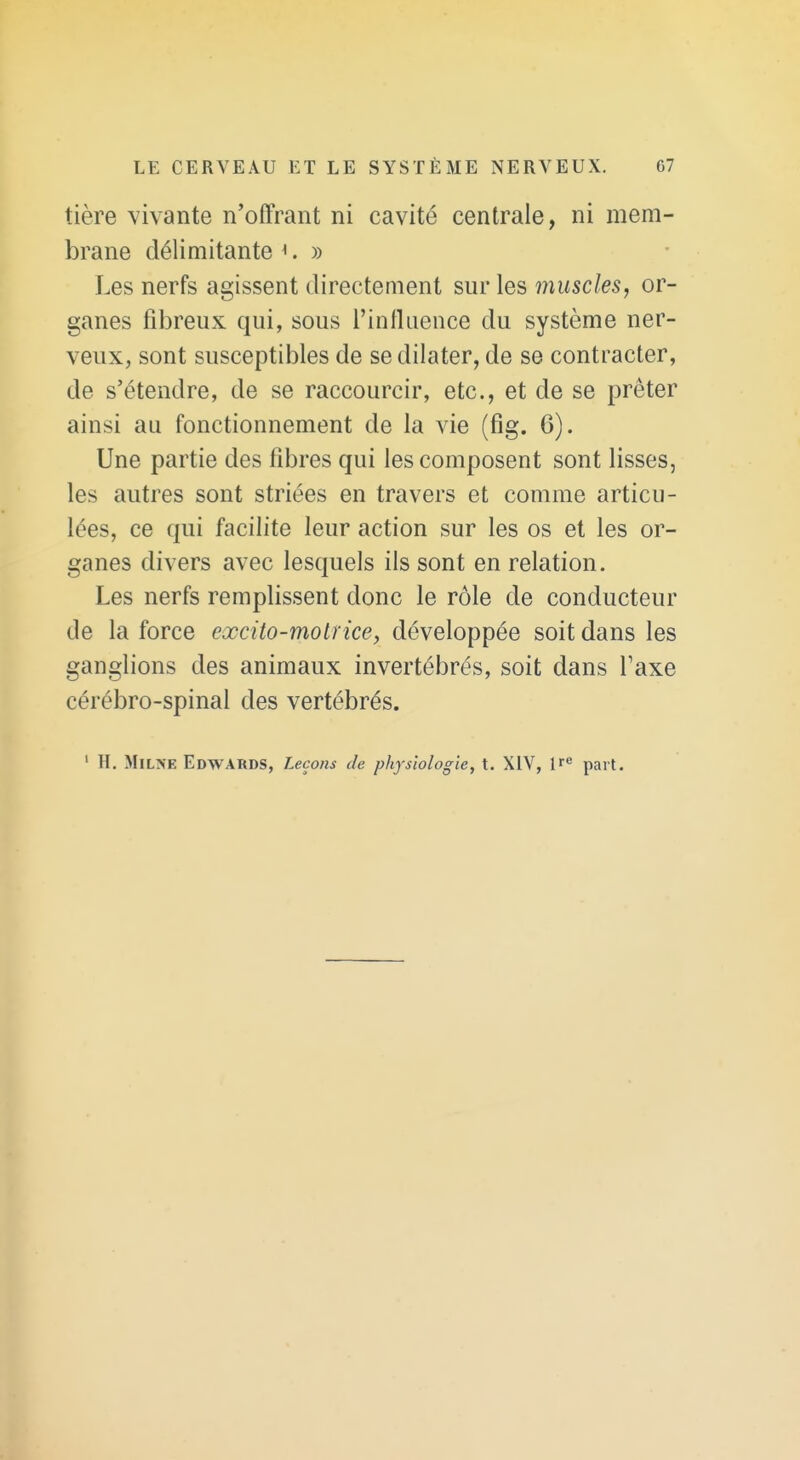 tière vivante n'offrant ni cavité centrale, ni mem- brane délimitante ^ » Les nerfs agissent directement sur les muscles, or- ganes fibreux qui, sous l'intluence du système ner- veux, sont susceptibles de se dilater, de se contracter, de s'étendre, de se raccourcir, etc., et de se prêter ainsi au fonctionnement de la vie (fig. 6). Une partie des fibres qui les composent sont lisses, les autres sont striées en travers et comme articu- lées, ce qui facilite leur action sur les os et les or- ganes divers avec lesquels ils sont en relation. Les nerfs remplissent donc le rôle de conducteur de la force excito-molrke, développée soit dans les ganglions des animaux invertébrés, soit dans l'axe cérébro-spinal des vertébrés.