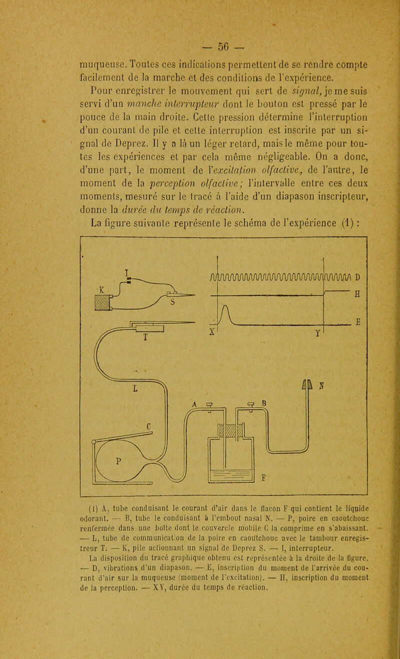 - 50 muqueuse. Toutes ces indications permettent de se rendre compte facilement de la marche cl des conditions de l’expérience. Pour enregistrer le mouvement qui sert de jeme suis servi d’un manche inlerrupteur dont le bouton est pressé par le pouce de la main droite. Cetlc pression détermine l’interruption d’un courant de pile et celte interruption est inscrite par un si- gnal de Deprez. Il y a là un léger retard, mais le même pour tou- tes les expériences et par cela même négligeable. On a donc, d’une part, le moment de Xexcilalion olfactive., de l’autre, le moment de la perception olfactive; l’intervalle entre ces deux moments, mesuré sur le tracé à l’aide d’un diapason inscripteur, donne la durée du temps de réaction. La figure suivante représente le schéma de l’expérience (1) : (1) A, tube conduisnnt le courant d’air dans le flacon F qui contient le liquide odorant. — B, tube le conduisant à renibout nasal i\. — P, poire en caoutchouc renfermée dans une botte dont le couvercle mobile C la comprime en s’abaissant. — L, tube de communication de la poire en caoutchouc avec le tambour enregis- treur T. — K, pile actionnant un signal de Deprez S. — 1, interrupteur. La disposition du tracé graphique obtenu est représentée à la droite de la figure. — D, vibrations d’un diapason. — E, inscription du moment de l'arrivée du cou- rant d’air sur la muqueuse (moment de l’excitation). — H, inscription du moment de la pereeption. — XY, durée du temps de réaction.
