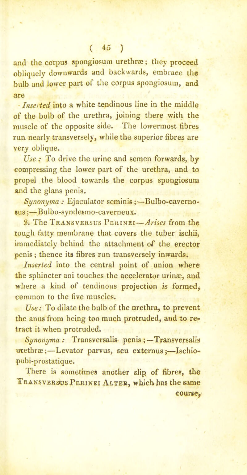 and the corpus spongiosum urethrac; they proceed obliquely downwards and backwards, embrace the bulb and lower part of the corpus spongiosum, and are Inserted into a white tendinous line in the middle of the bulb of the urethra, joining there with the muscle of the opposite side. The lowermost fibres run nearly transversely, while the superior fibres are very oblique. Use : To drive the urine and semen forwards, by compressing the lower part of the urethra, and to propel the blood towards the corpus spongiosum and the glans penis. Synonyma : Ejaculator seminis;—Bulbo-caverno- sus;—Bulbo-syndesmo-caverneux. 3. The Transversus Perinei—Arises from the tough fatty membrane that covers the tuber ischii, immediately behind the attachment o£ the erector penis; thence its fibres run transversely inwards. Inserted into the central point of union where the sphincter ani touches the accelerator urinae, and where a kind of tendinous projection is formed, common to the five muscles. Use: To dilate the bulb of the urethra, to prevent the anus from being too much protruded, and to re- tract it when protruded. Synonyma : Transversali& penis ;—Transversalis utethrae;—Levator parvus, seu externus;—Ischio- pubi-prostatique. There is sometimes another slip of fibres, the Transversojs Perinei Alteh, which has the same couriey