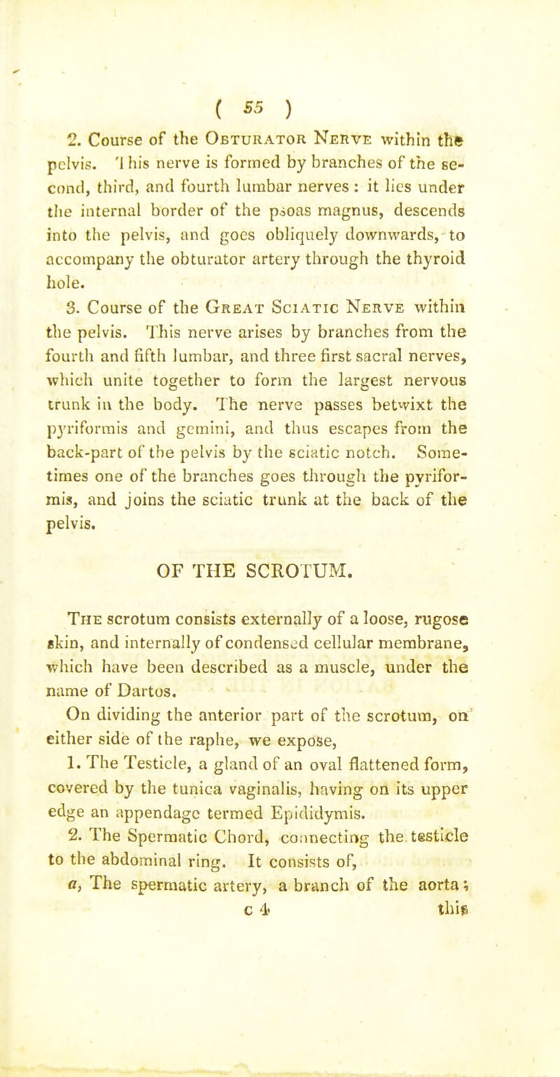 2. Course of the Obturator Nerve within the pelvis. '1 his nerve is formed by branches of the se- cond, third, and fourth lumbar nerves : it lies under the internal border of the pioas magnus, descends into the pelvis, and goes obliquely downwards, to accompany the obturator artery through the thyroid hole. 3. Course of the Great Sciatic Nerve within tlie pelvis. This nerve arises by branches from the fourth and fifth lumbar, and three first sacral nerves, which unite together to form the largest nervous trunk in the body. The nerve passes betwixt the pyriformis and gcmini, and thus escapes from the back-part of the pelvis by the sciatic notch. Some- times one of the branches goes through the pyrifor- mis, and joins the sciatic trunk at the back of the pelvis. OF THE SCROTUM. The scrotum consists externally of a loose, rugose ekin, and internally of condensed cellular membrane, which have been described as a muscle, under the name of Dartos. On dividing the anterior part of the scrotum, on' either side of the raphe, we expose, 1. The Testicle, a gland of an oval flattened form, covered by the tunica vaginalis, having on its upper edge an appendage termed Epididymis. 2. The Spermatic Chord, connecting the. testicle to the abdominal ring. It consists of, a, The spermatic artery, a branch of the aorta; c 4' this