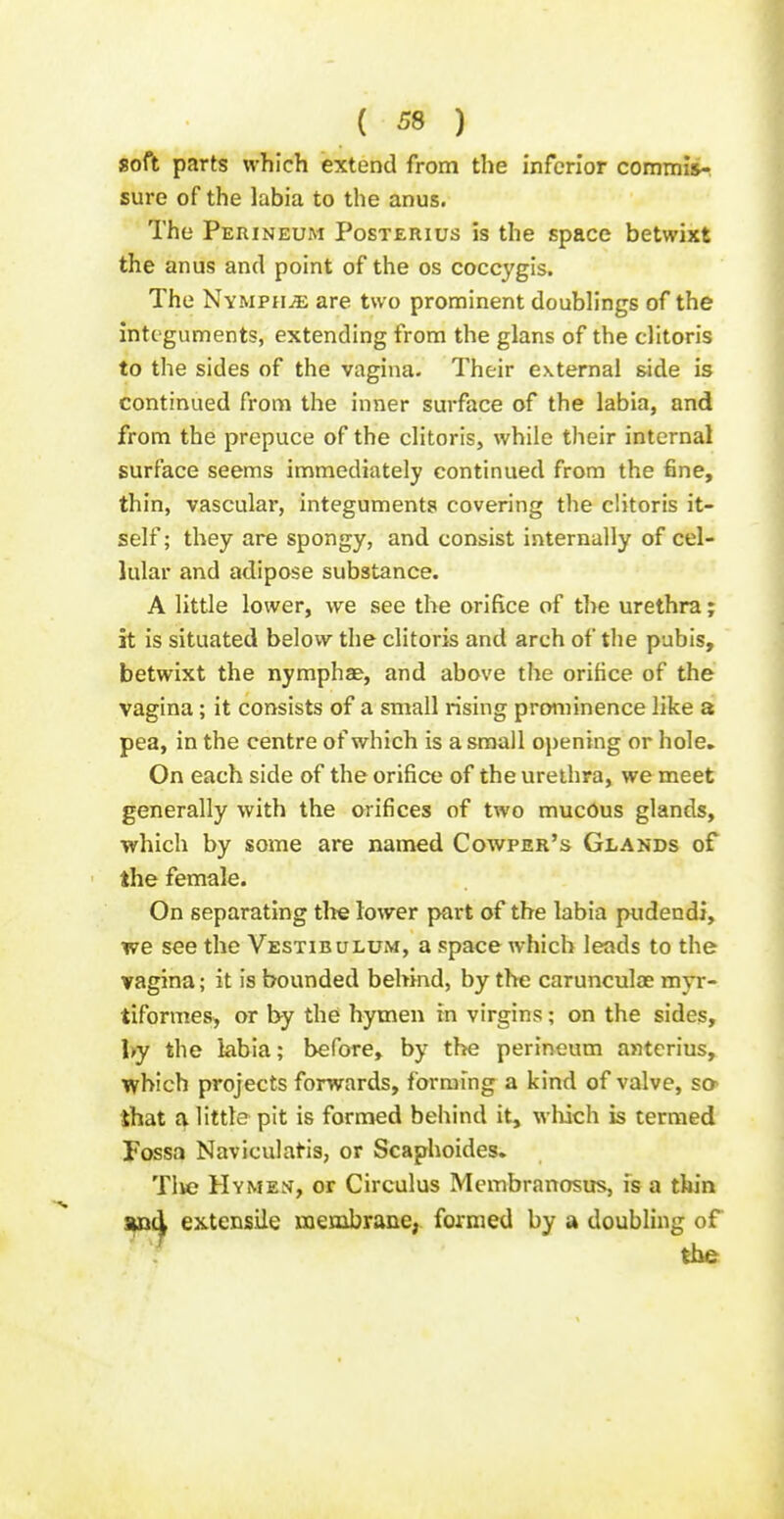 soft parts wTilcli extend from the inferior commisr sure of the labia to the anus. The Perineum Posterius 5s the space betwixt the anus and point of the os coccygis. The Nymphs are two prominent doublings of the integuments, extending from the glans of the clitoris to the sides of the vagina. Their external &ide is continued from the inner surface of the labia, and from the prepuce of the clitoris, while their internal surface seems immediately continued from the fine, thin, vascular, integuments covering the clitoris it- self; they are spongy, and consist internally of cel- lular and adipose substance. A little lower, we see the orifice of the urethra; it is situated below the clitoris and arch of the pubis, betwixt the nymphae, and above the orifice of the vagina; it consists of a small rising prominence like a pea, in the centre of which is a small opening or hole. On each side of the orifice of the urethra, we meet generally with the orifices of two mucdus glands, which by some are named Cowper's Glands of the female. On separating tire lower part of the labia ptidendi, we see the Vestibulum, a space which leads to the vagina; it is bounded behind, by the carunculae myr- tiformes> or by the hymen in virgins; on the sides, hy the labia; before, by the perineum antcrius, which projects forwards, forming a kind of valve, so> that a little pit is formed behind it, wliich is termed Fossa Naviculatis, or Scaphoides. Tlve Hymex, or Circulus Mcmbranosus, is a thin snd extensile membrane,, formed by a doubling of