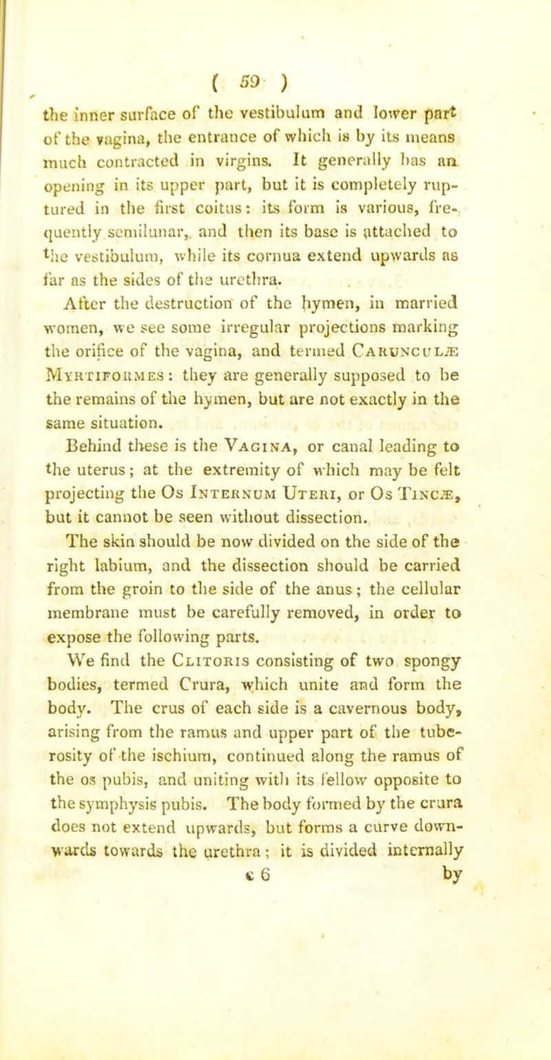 the inner surface of the vestibulum and lower part of the vagina, the entrance of which is by its means much contracted in virgins. It generally l)as aa opening in its upper part, but it is completely rup- . tured in the first coitus: its form is various, fre- quently seniilunar,, and then its base is ^ittached to t'le vestibulum, while its cornua extend upwards as far as the sides of tlia urethra. After the destruction of the hymen, in married women, we see some irregular projections marking the orifice of the vagina, and termed Caruncul;e MvRTirouMES : they are generally supposed to be the remains of the hymen, but are not exactly in the same situation. Behind these is the Vagina, or canal leading to the uterus; at the extremity of which may be felt projecting the Os Internum Uteri, or Os Tincje, but it cannot be seen without dissection. The skin should be now divided on the side of the right labium, and the dissection should be carried from the groin to the side of the anus; the cellular membrane must be carefully removed, in order to expose the following parts. We find the Clitoris consisting of two spongy bodies, termed Crura, which unite and form the body. The crus of each side is a cavernous body, arising from the ramus and upper part of the tube- rosity of the ischium, continued along the ramus of the OS pubis, and uniting with its fellow opposite to the symphysis pubis. The body formed by the crura does not extend upwards, but forms a curve down- wards towards the urethra; it is divided internally