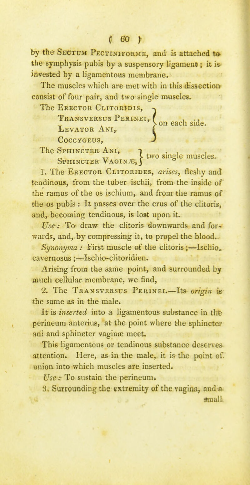 by the Sectum Pectiniforme, and is attached to- the symphysis pubis by a suspensory ligament; it is invested by a ligamentous membrane. The muscles which are met with in this dissection consist of four pair, and two single muscles. The Erector Clitoridis, TrANSVERSUS PEHINEr,. f , -J > on each side. Levator Ani, t CoccyGEUS, J The Sphincter Ant, t . , , _ tr J- two smgle muscles. Sphincter VAGixiE,j 1. The Erector Clitorides, arises^ fleshy and tendinous, from the tuber ischii, from the inside of the ramus of the os ischium, and from the ramus of the OS pubis : It passes over the crus of the clitoris, and, becoming tendinous, is lost upon it. Use : To> draw the clitoris downwards and for- wards, and,, by compressing it, to propel the blood.- Synonyma : First muscle of the clitoris ;—Ischio. cavernosus ;—Ischio-clitoridien. Arising from the same point, and surrounded by much celhilar membrane, we find, 2. The Transversus Perinei.—Its oriiri/i is the same as in the male. It is inserted into a ligamentous substance in tht perineum anteiiufi, at the point where the sphincter ani and sphincter vaginae meet. This ligamentous or tendinous substance deserves attention. Here, as in the male, it is tlic point of. union into which muscles are inserted. Use: To sustain the perineum* 3. Surrounding the extremity of the vagina, and a. ftnall. 1
