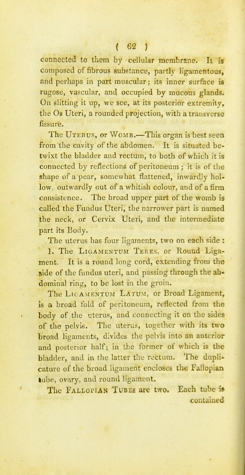connected to them by cellular membrane. It is composed of fibrous substance, partly ligamentous, and perhaps in part muscular; its inner surface is rugose, vascular, and occupied by mucous glands. On slitting it up, M^e see, at its posterior extremity, the Os Uteri, a rounded projection, with a transverse fissure. The Uterus, or Womb.—This organ is best seen from the cavity of the abdomen. It is situated be- twixt the bladder and rectum, to both of which it is connected by reflections of peritoneum ; it is of the shape of a pear, somewhat flattened, inwardly hol- low, outwardly out of a whitish colour, and of a firm consistence. The broad upper part of the womb is called the Fundus Uteri, the narrower part is named the neck, or Cervix Uteri, and the intermediate part its Body. The uterus has four ligaments, two on each side : 1. Tlie LiGAMENTUM Teres, or Hound Liga- ment. It is a round long cord, extending from the $ide of the fundus uteri, and passing through the ab- dominal ring, to be lost in the groin. The LiGAMENTUM Latum, or Broad Ligament, is a broad fold of peritoneum, reflected from the body of the uterus, and connecting it on tlie sides of the pelvis. The uterus, together with its two broad ligaments, divides the pelvis into an anterior and posterior half; in the former of which is the bladder, and in the latter the rectum. The dupli- cature of the broad ligament encloses the Fallopian lube, ovary, and round ligament. The Falloi'ian Tubes are two. Each tube is contamed