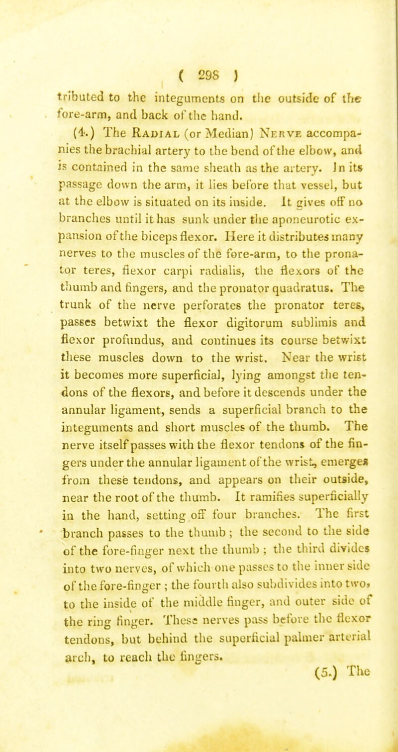 tnbuted to the integuments on the outside of the fore-arm, and back of the hand. (4.) The Radial (or Median) Nerve accompa- nies the brachial artery to the bend of the elbow, and is contained in the same sheath as the artery. In its passage down the arm, it lies before that vessel, but at the elbow is situated on its inside. It gives off no branches until it has sunk under the aponeurotic ex- pansion of the biceps flexor. Here it distributes many nerves to the muscles of the fore-arm, to the prona- tor teres, flexor carpi radialis, the flexors of the thumb and fingers, and the pronator quadratus. The trunk of the nerve perforates the pronator teres, passes betwixt the flexor digitorum sublimis and flexor profundus, and continues its course betwixt these muscles down to the wrist. Near the wrist it becomes more superficial, lying amongst the ten- dons of the flexors, and before it descends under the annular ligament, sends a superficial branch to the integuments and short muscles of the thumb. The nerve itself passes with the flexor tendons of the fin- gers under the annular ligament of the wrist, emerge* from these tendons, and appears on their outside, near the root of the thumb. It ramifies superficially in the hand, setting off four branches. The first branch passes to the thumb; the second to the side of the fore-finger next the thumb ; the third divides into two nerves, of which one passes to the inner side of tiie fore-finger ; the fourth also subdivides into twof to the inside of the middle finger, and outer side of the ring finger. These nerves pass before the flexor tendons, but behind the superficial palmer arterial arch, to reach the finsxers. (5.) The