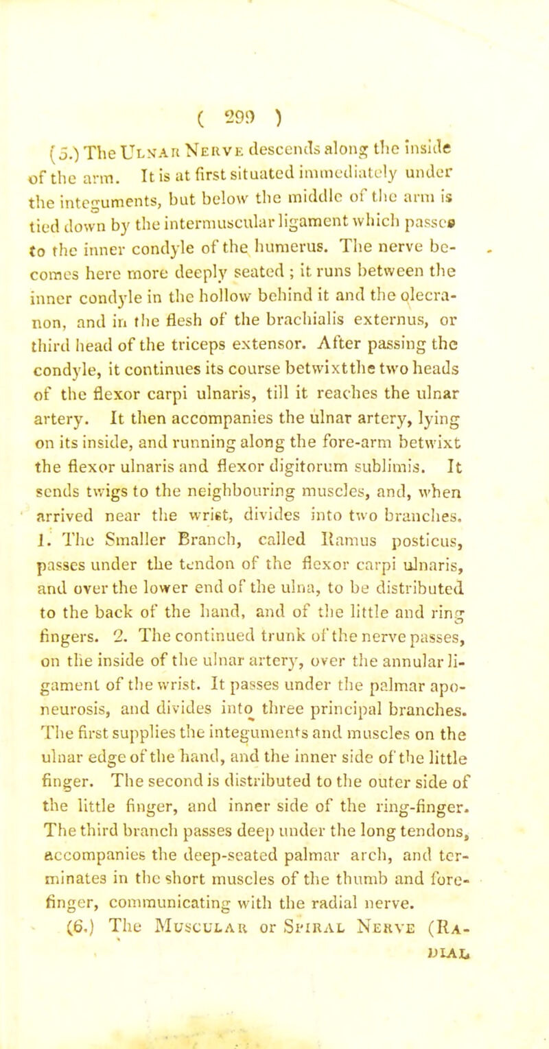 ( 29!) ) {3.) The Ulnar Neuve desceiuls along tlio inside of the arm. It is at first situated immediatuly under the integuments, but below the middle of the arm Is tied down by the intermuscular ligament which passes to the inner condyle of the humerus. The nerve be- comes here more deeply seated ; it runs between the inner condyle in the hollow behind it and the olecra- non, and in the flesh of the brachialis externus, or third head of the triceps extensor. After passing the condyle, it continues its course betwixtthe two heads of the flexor carpi ulnaris, till it reaches the ulnar artery. It then accompanies the ulnar artery, lying on its inside, and running along the fore-arm betwixt the flexor ulnaris and flexor digitorum sublimis. It sends twigs to the neighbouring muscles, and, when arrived near the wrist, divides into two branches. 1. The Smaller Branch, called liamus posticus, passes under the tendon of the flexor carpi ulnaris, and over the lower end of the ulna, to be distributed to the back of the hand, and of tlie little and rin.? fingers. 2. The continued trunk of the nerve passes, on the inside of the ulnar artery, over the annular li- gament of tlie wrist. It passes under the palmar apo- neurosis, and divides into three principal branches. The first supplies the integuments and muscles on the ulnar edge of the hand, and the inner side of the little finger. The second is distributed to the outer side of the little finger, and inner side of the ring-finger. The third branch passes deep under the long tendons, accompanies the deep-seated palmar arch, and ter- minates in the short muscles of the thumb and fore- finger, communicating M'ith the radial nerve. (6,) The MuscuiAu or Si'IRAl Nekve (Ra- JJIAI,