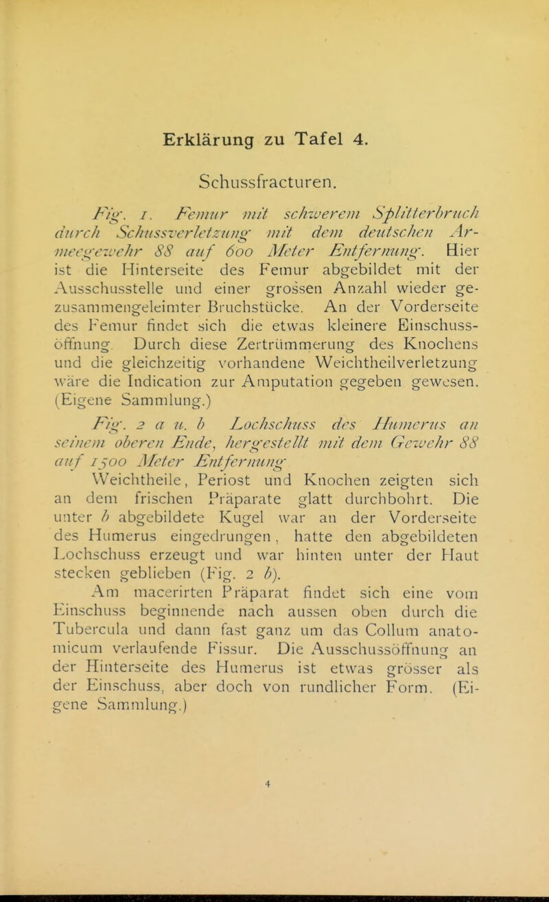 Schussfracturen. ^/'g'. I. Feniur mit schwerem Spläterhruch durch Schussverletzuiisc niii dem deutsche u Ar- meegewehr 88 auf 600 Meter Eutfermmg. Bier ist die Hinterseite des Feinur abgebildet mit der Ausschusstelle und einer grossen Anzahl wieder ge- zusammengeleimter Bruchstücke. An der Vorderseite des Femur findet sich die etwas kleinere Einschuss- Öfifnung. Durch diese Zertrümmerung des Knochens und die gleichzeitig vorhandene Weichtheilverletzung wäre die Indication zur Amputation gegeben gewesen. (Eigene Sammlung.) Fig. 2 a u. b Lochsch^iss des Jlumerus an seinem oberen Ende, hergestellt mit deni Gezuehr 88 auf ijoo Meter Entfernung Weichtheile, Periost und Knochen zeigten sich an dem frischen Präparate glatt durchbohrt. Die unter b abgebildete Kugel war an der Vorderseite des Humerus eingedrungen , hatte den abgebildeten Lochschuss erzeugt und war hinten unter der Haut stecken geblieben (Fig. 2 b). Am macerirten Präparat findet sich eine vom Einschuss beginnende nach aussen oben durch die Tubercula und dann fast ganz um das Collum anato- micum verlaufende Fissur. Die Ausschussöffnung an der Hinterseite des Humerus ist etwas grösser als der Einschuss, aber doch von rundlicher Form. (Ei- gene Sammlung.)