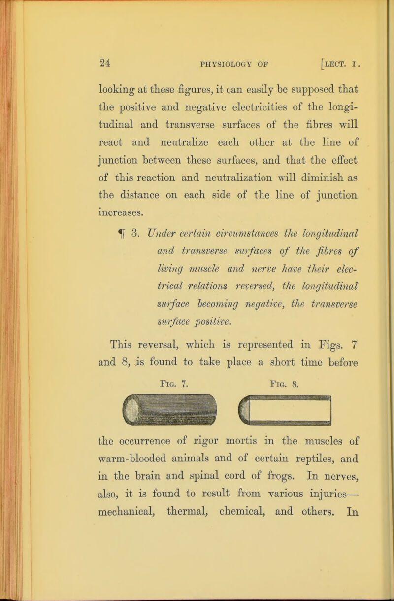 looking at these figures, it can easily be supposed that the positive and negative electricities of the longi- tudinal and transverse surfaces of the fibres will react and neutralize each other at the line of junction between these surfaces, and that the efiect of this reaction and neutralization will diminish as the distance on each side of the line of junction increases. % 3. Under certain circumstances the longitudinal and transverse surfaces of the fibres of living muscle and nerve have their elec- trical relations reversed, the longitudinal surface becoming negative, the transverse surface positive. This reversal, which is represented in Figs. 7 and 8, is found to take place a short time before Fig. 7. Fig. 8. the occurrence of rigor mortis in the muscles of warm-blooded animals and of certain reptiles, and in the brain and spinal cord of frogs. In nerves, also, it is found to result from various injuries— mechanical, thermal, chemical, and others. In