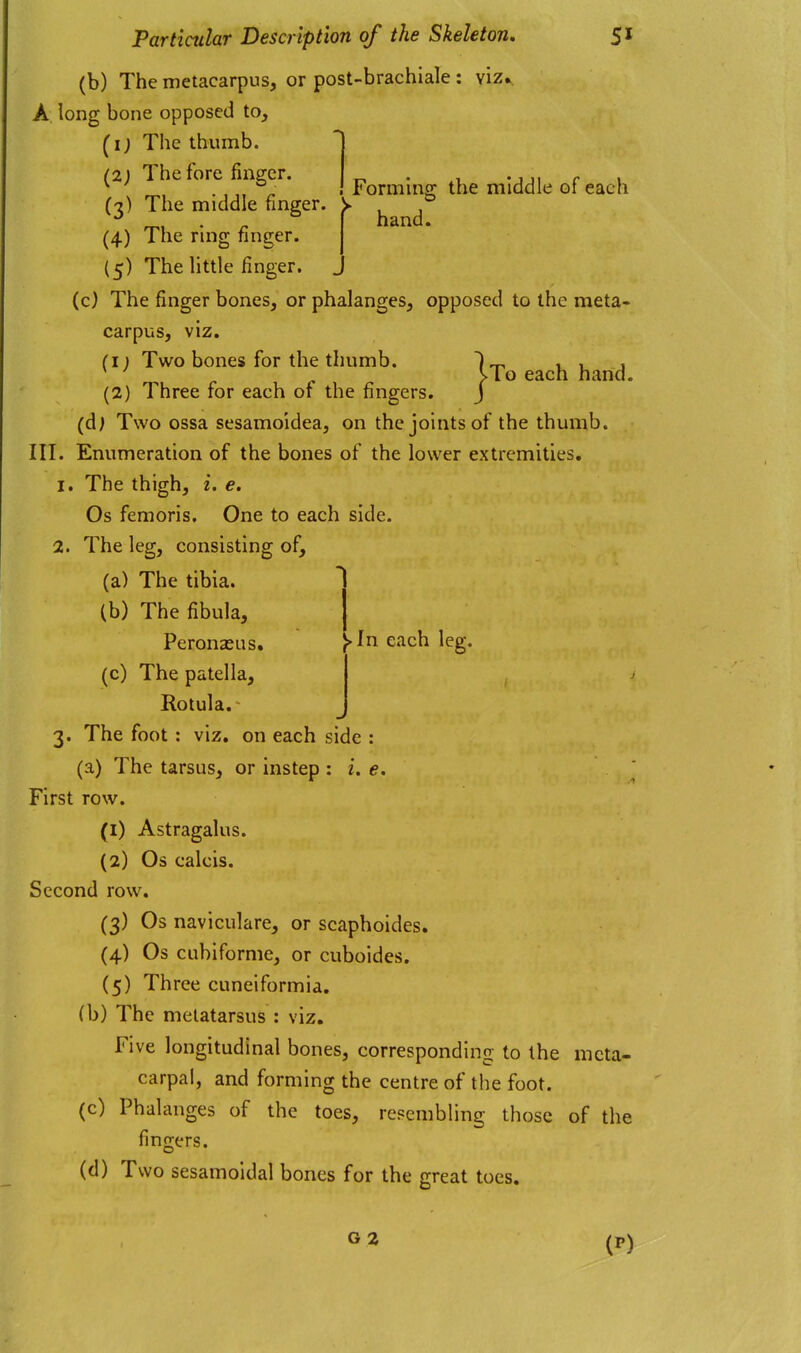 Formlno; the middle of each hand. } To each hand. Particular Description of the Skeleton, 5* (b) The metacarpus, or post-brachlale : viz. A long bone opposed to, ^i; The thumb. (2; The fore finger. (3) The middle finger (4) The ring finger. {5) The httle finger. (c) The finger bones, or phalanges, opposed to the meta- carpus, viz. (I; Two bones for the thumb. (2) Three for each of the fingers. (d) Two ossa sesamoidea, on the joints of the thumb. III. Enumeration of the bones of the lower extremities, 1. The thigh, i. e. Os femoris. One to each side. 2. The leg, consisting of, (a) The tibia. (b) The fibula, Peronasus. ^In each leg. (c) The patella, Rotula.- 3. The foot : viz. on each side : (a) The tarsus, or instep : i. e. First row. (1) Astragalus. (2) Os calcis. Second row, (3) Os naviculare, or scaphoides, (4) Os cubiforme, or cuboides. (5) Three cuneiformia, (b) The metatarsus : viz. Five longitudinal bones, corresponding to the meta- carpal, and forming the centre of the foot. (c) Phalanges of the toes, resembling those of the fingers. (d) Two sesamoidal bones for the p;reat toes.