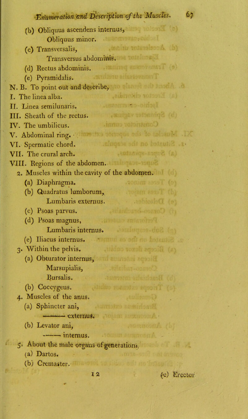 (b) Obliquus ascendens internus> Obliquus minor. (c) Transversalis, Transversiis abdommis. (d) Rectus abdominis. (e) Pyramidalis. N. B. To point out and describe, I. The linea alba. II. Linea semilunaris. III. Sheath of the rectus. IV. The umbilicus. V. Abdominal ring. • VI. Spermatic chord. VII. The crural arch. VJII. Regions of the abdomen. 2. Muscles within the cavity of the abdomen, (a) Diaphragma. (b) Quadratus lumborum^ Lumbaris externus. (c) Psoas parvus. (d) Psoas magnus, Lumbaris internus. (e) Iliacus internus. 3. Within the pelvis. (a) Obturator internus^ Marsupialis, Bursalis. (b) Coccygeus. 4. Muscles of the anus. (a) Sphincter ani,  ■ ■ externus. (b) Levator ani, internus. 5. About the male organs of generatiom, (a) Dartos. (b) Cremaster.