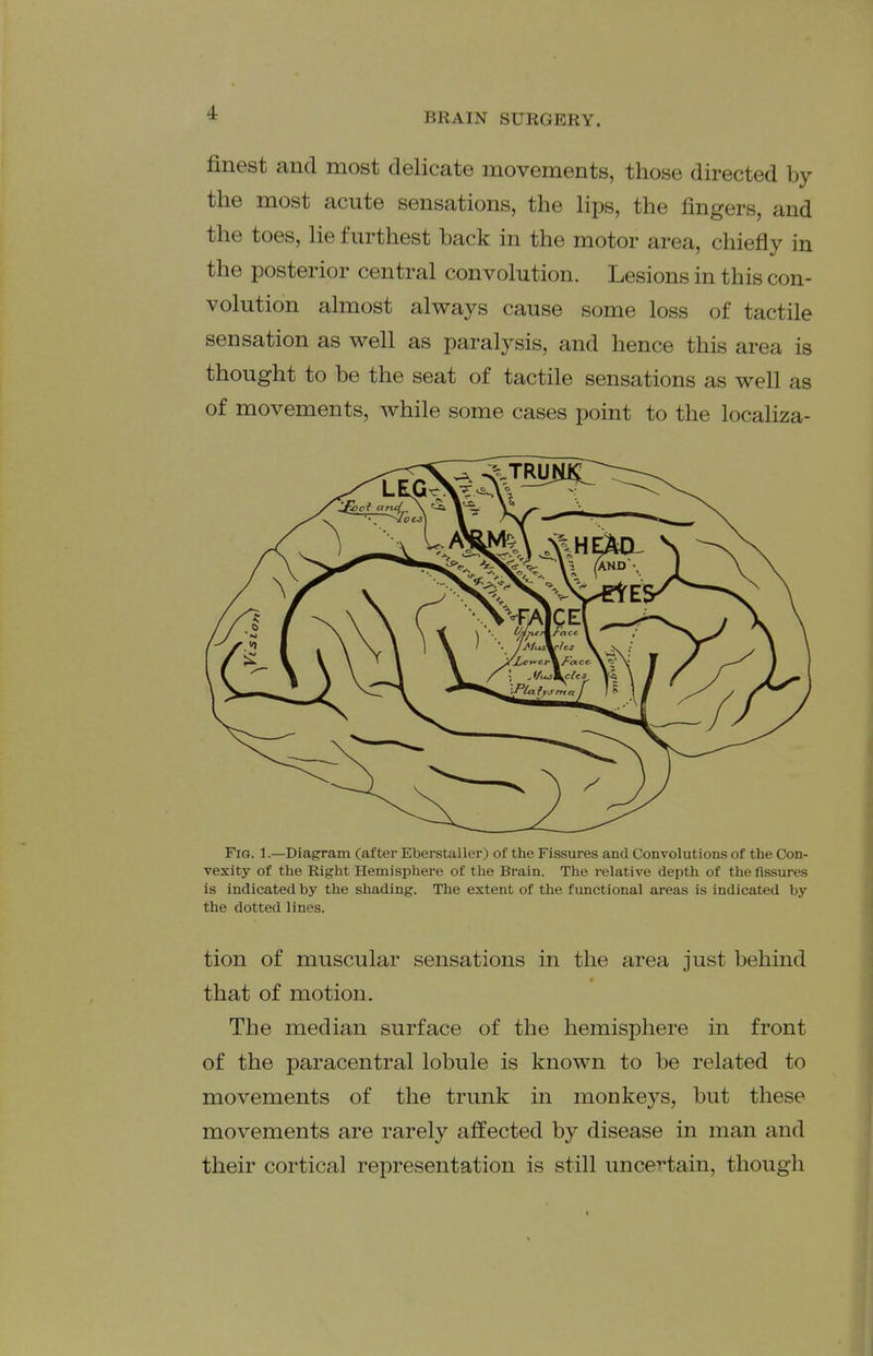 finest and most delicate movements, those directed by the most acute sensations, the lips, the fingers, and the toes, lie furthest back in the motor area, chiefly in the posterior central convolution. Lesions in this con- volution almost always cause some loss of tactile sensation as well as paralysis, and hence this area is thought to be the seat of tactile sensations as well as of movements, while some cases point to the localiza- Fig. 1.—Diagram (after Eberstaller) of the Fissures and Convolutions of the Con- vexity of the Right Hemisphere of the Brain. The relative depth of the fissures is indicated by the shading. The extent of the functional areas is indicated by the dotted lines. tion of muscular sensations in the area just behind that of motion. The median surface of the hemisphere in front of the paracentral lobule is known to be related to movements of the trunk in monkeys, but these movements are rarely affected by disease in man and their cortical representation is still uncertain, though