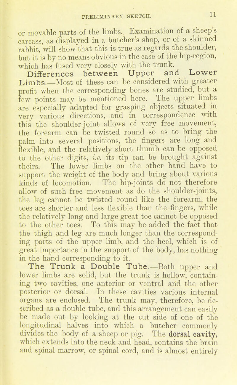 or movable parts of the limlDS.. Examination of a sheep's carcass, as displayed in a butcher's shop, or of a skinned rabbit, will show that this is true as regards the shoulder, but it is by no means obvious in the case of the hip-region, which has fused very closely with the trunk. Differences between Upper and Lower Limbs.—Most of these can be considered Avith greater profit when the corresponding bones are studied, but a few points may be mentioned here. The upper limbs are especially adapted for grasping objects situated in very various directions, and in correspondence with this the shoulder-joint allows of very free movement, the forearm can be twisted round so as to bring the palm into several positions, the fingers are long and flexible, and the relatively short thumb can be opposed to the other digits, i.e. its tip can be brought against theirs. The lower limbs on the other hand have to support the weight of the body and bring about various kinds of locomotion. The hip-joints do not therefore allow of such free movement as do the shoulder-joints, the leg cannot be twisted round like the forearm, the toes are shorter and less flexible than the fingers, while the relatively long and large great toe cannot be opposed to the other toes. To this may be added the fact that the thigh and leg are much longer than the correspond- ing parts of the upper limb, and the heel, which is of great importance in the support of the body, has nothing in the hand corresponding to it. The Trunk a Double Tube.—Both upjDer and lower limbs are solid, but the trunk is hollow, contain- ing two cavities, one anterior or ventral and the other posterior or dorsal. In these cavities various internal organs are enclosed. The trunk may, therefore, be de- scribed as a double tube, and this arrangement can easily be made out by looking at the cut side of one of the longitudinal halves into which a butcher commonly divides the body of a sheep or pig. The dorsal cavity, which extends into the neck and head, contains the brain and spinal marrow, or spinal cord, and is almost entirely