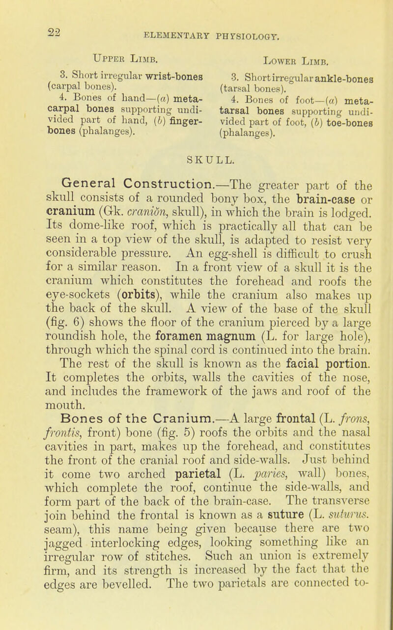 Upper Limb, 3. Short irregular wrist-bones (carpal bones). 4. Bones of hand—(a) meta- carpal bones supporting undi- vided part of hand, (h) finger- bones (phalanges). Lower Limb. 3. Short irregular ankle-bones (tarsal bones). 4. Bones of foot—(«) meta- tarsal bones supporting undi- vided part of foot, (6) toe-bones (phalanges). SKULL. General Construction.—The greater part of the skull^ consists of a rounded bony box, the brain-case or cranium (Gk. cranion, skull), in which the brain is lodged. Its dome-like roof, which is practically all that can be seen in a top vieAv of the skull, is adapted to resist very considerable pressure. An egg-shell is difficult to crush for a similar reason. In a front view of a skull it is the cranium which constitutes the forehead and roofs the eye-sockets (orbits), while the cranium also makes up the back of the skull. A view of the base of the skull (fig. 6) shows the floor of the cranium pierced by a large roundish hole, the foramen magnum (L. for large hole), through which the spinal cord is continued into the brain. The rest of the skull is known as the facial portion. It completes the orbits, walls the cavities of the nose, and includes the framework of the jaAvs and roof of the mouth. Bones of the Cranium.—A large frontal (L. frons, frontis, front) bone (fig. 5) roofs the orbits and the nasal cavities in part, makes up the forehead, and constitutes the front of the cranial roof and side-walls. Just behind it come two arched parietal (L. paries, wall) iDones, which complete the roof, continue the side-walls, and form part of the back of the brain-case. The trans-s-^erse join behind the frontal is known as a suture (L. siitunis. seam), this name being given because there are two jagged interlocking edges, looking something like an irregular row of stitches. Such an union is extremely firm, and its strength is increased by the fact that the edges are bevelled. The two parietals are connected to-