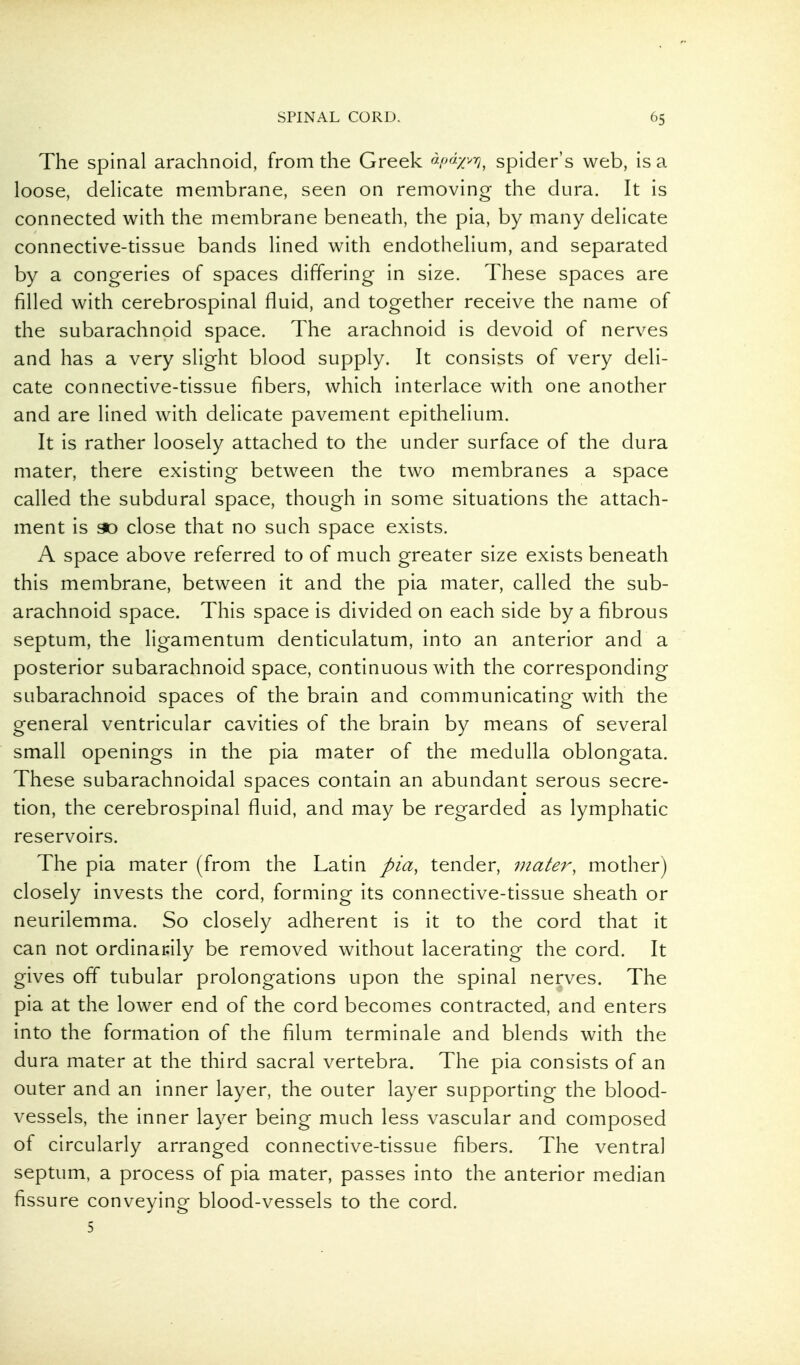 The spinal arachnoid, from the Greek spider's web, is a loose, delicate membrane, seen on removing the dura. It is connected with the membrane beneath, the pia, by many delicate connective-tissue bands lined with endothelium, and separated by a congeries of spaces differing in size. These spaces are filled with cerebrospinal fluid, and together receive the name of the subarachnoid space. The arachnoid is devoid of nerves and has a very slight blood supply. It consists of very deli- cate connective-tissue fibers, which interlace with one another and are lined with delicate pavement epithelium. It is rather loosely attached to the under surface of the dura mater, there existing between the two membranes a space called the subdural space, though in some situations the attach- ment is 30 close that no such space exists. A space above referred to of much greater size exists beneath this membrane, between it and the pia mater, called the sub- arachnoid space. This space is divided on each side by a fibrous septum, the ligamentum denticulatum, into an anterior and a posterior subarachnoid space, continuous with the corresponding subarachnoid spaces of the brain and communicating with the general ventricular cavities of the brain by means of several small openings in the pia mater of the medulla oblongata. These subarachnoidal spaces contain an abundant serous secre- tion, the cerebrospinal fluid, and may be regarded as lymphatic reservoirs. The pia mater (from the Latin pia, tender, 7nater, mother) closely invests the cord, forming its connective-tissue sheath or neurilemma. So closely adherent is it to the cord that it can not ordinarily be removed without lacerating the cord. It gives off tubular prolongations upon the spinal nerves. The pia at the lower end of the cord becomes contracted, and enters into the formation of the filum terminale and blends with the dura mater at the third sacral vertebra. The pia consists of an outer and an inner layer, the outer layer supporting the blood- vessels, the inner layer being much less vascular and composed of circularly arranged connective-tissue fibers. The ventral septum, a process of pia mater, passes into the anterior median fissure conveying blood-vessels to the cord. 5