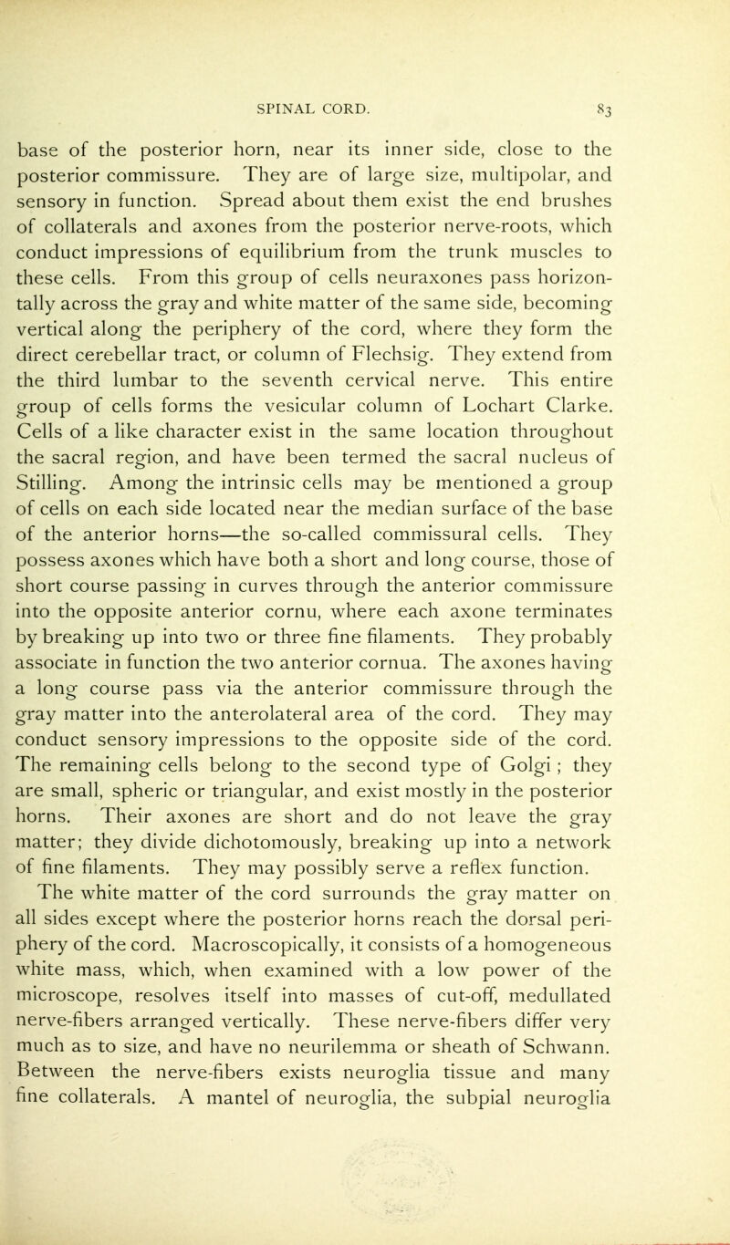 base of the posterior horn, near its inner side, close to the posterior commissure. They are of large size, multipolar, and sensory in function. Spread about them exist the end brushes of collaterals and axones from the posterior nerve-roots, which conduct impressions of equilibrium from the trunk muscles to these cells. From this group of cells neuraxones pass horizon- tally across the gray and white matter of the same side, becoming vertical along the periphery of the cord, where they form the direct cerebellar tract, or column of Flechsig. They extend from the third lumbar to the seventh cervical nerve. This entire group of cells forms the vesicular column of Lochart Clarke. Cells of a like character exist in the same location throughout the sacral region, and have been termed the sacral nucleus of Stilling. Among the intrinsic cells may be mentioned a group of cells on each side located near the median surface of the base of the anterior horns—the so-called commissural cells. They possess axones which have both a short and long course, those of short course passing in curves through the anterior commissure into the opposite anterior cornu, where each axone terminates by breaking up into two or three fine filaments. They probably associate in function the two anterior cornua. The axones having a long course pass via the anterior commissure through the gray matter into the anterolateral area of the cord. They may conduct sensory impressions to the opposite side of the cord. The remaining cells belong to the second type of Golgi; they are small, spheric or triangular, and exist mostly in the posterior horns. Their axones are short and do not leave the gray matter; they divide dichotomously, breaking up into a network of fine filaments. They may possibly serve a refiex function. The white matter of the cord surrounds the gray matter on all sides except where the posterior horns reach the dorsal peri- phery of the cord. Macroscopically, it consists of a homogeneous white mass, which, when examined with a low power of the microscope, resolves itself into masses of cut-off, medullated nerve-fibers arranged vertically. These nerve-fibers differ very much as to size, and have no neurilemma or sheath of Schwann. Between the nerve-fibers exists neuroglia tissue and many fine collaterals. A mantel of neuroglia, the subpial neuroglia