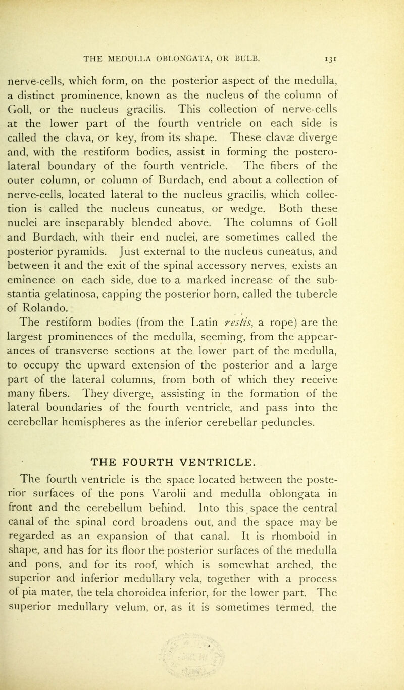 nerve-cells, which form, on the posterior aspect of the medulla, a distinct prominence, known as the nucleus of the column of Goll, or the nucleus gracilis. This collection of nerve-cells at the lower part of the fourth ventricle on each side is called the clava, or key, from its shape. These clavae diverge and, with the restiform bodies, assist in forming the postero- lateral boundary of the fourth ventricle. The fibers of the outer column, or column of Burdach, end about a collection of nerve-cells, located lateral to the nucleus gracilis, which collec- tion is called the nucleus cuneatus, or wedge. Both these nuclei are inseparably blended above. The columns of Goll and Burdach, with their end nuclei, are sometimes called the posterior pyramids. Just external to the nucleus cuneatus, and between it and the exit of the spinal accessory nerves, exists an eminence on each side, due to a marked increase of the sub- stantia gelatinosa, capping the posterior horn, called the tubercle of Rolando. The restiform bodies (from the Latin restis, a rope) are the largest prominences of the medulla, seeming, from the appear- ances of transverse sections at the lower part of the medulla, to occupy the upward extension of the posterior and a large part of the lateral columns, from both of which they receive many fibers. They diverge, assisting in the formation of the lateral boundaries of the fourth ventricle, and pass into the cerebellar hemispheres as the inferior cerebellar peduncles. THE FOURTH VENTRICLE. The fourth ventricle is the space located between the poste- rior surfaces of the pons Varolii and medulla oblongata in front and the cerebellum behind. Into this space the central canal of the spinal cord broadens out, and the space may be regarded as an expansion of that canal. It is rhomboid in shape, and has for its floor the posterior surfaces of the medulla and pons, and for its roof, which is somewhat arched, the superior and inferior medullary vela, together with a process of pia mater, the tela choroidea inferior, for the lower part. The superior medullary velum, or, as it is sometimes termed, the