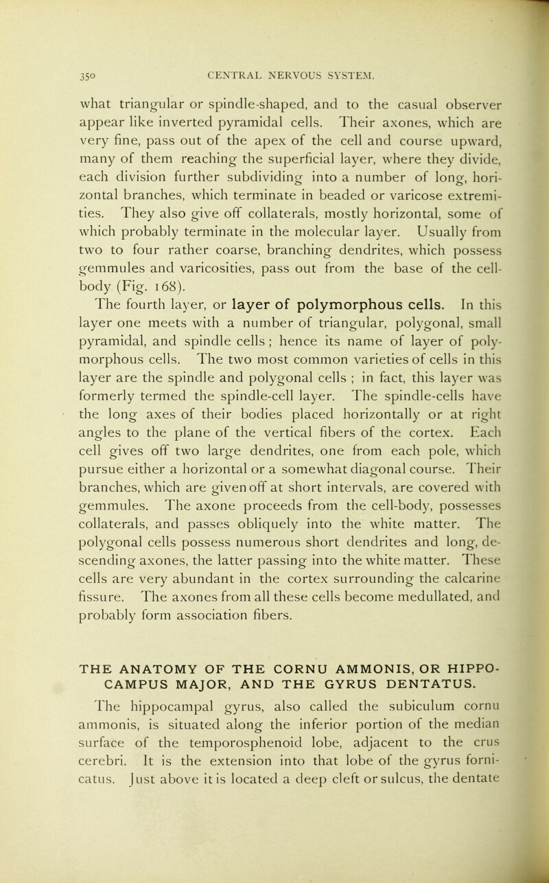 what triangular or spindle-shaped, and to the casual observer appear like inverted pyramidal cells. Their axones, which are very fine, pass out of the apex of the cell and course upward, many of them reaching the superficial layer, where they divide, each division further subdividing into a number of long, hori- zontal branches, which terminate in beaded or varicose extremi- ties. They also give off collaterals, mostly horizontal, some of which probably terminate in the molecular layer. Usually from two to four rather coarse, branching dendrites, which possess gemmules and varicosities, pass out from the base of the cell- body (Fig. 168). The fourth layer, or layer of polymorphous cells. In this layer one meets with a number of triangular, polygonal, small pyramidal, and spindle cells ; hence its name of layer of poly- morphous cells. The two most common varieties of cells in this layer are the spindle and polygonal cells ; in fact, this layer was formerly termed the spindle-cell layer. The spindle-cells have the long axes of their bodies placed horizontally or at right angles to the plane of the vertical fibers of the cortex. Each cell gives off two large dendrites, one from each pole, which pursue either a horizontal or a somewhat diagonal course. Their branches, which are given off at short intervals, are covered with gemmules. The axone proceeds from the cell-body, possesses collaterals, and passes obliquely into the white matter. The polygonal cells possess numerous short dendrites and long, de- scending axones, the latter passing into the white matter. These cells are very abundant in the cortex surrounding the calcarine fissure. The axones from all these cells become medullated, and probably form association fibers. THE ANATOMY OF THE CORNU AMMONIS, OR HIPPO- CAMPUS MAJOR, AND THE GYRUS DENTATUS. The hippocampal gyrus, also called the subiculum cornu ammonis, is situated along the inferior portion of the median surface of the temporosphenoid lobe, adjacent to the crus cerebri. It is the extension into that lobe of the gyrus forni- catus. Just above it is located a deep cleft or sulcus, the dentate