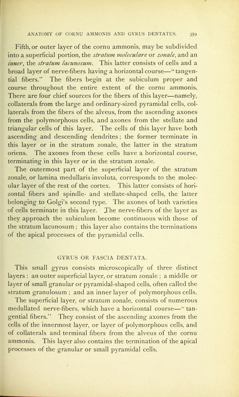 Fifth, or outer layer of the cornu ammonis, may be subdivided into a superficial portion, the stratum moleculare or zonale, and an inner, the stratum lacunosum. This latter consists of cells and a broad layer of nerve-fibers having a horizontal course— tangen- tial fibers. The fibers begin at the subiculum proper and course throughout the entire extent of the cornu ammonis. There are four chief sources for the fibers of this layer—namely, collaterals from the large and ordinary-sized pyramidal cells, col- laterals from the fibers of the alveus, from the ascending axones from the polymorphous cells, and axones from the stellate and triangular cells of this layer. The cells of this layer have both ascending and descending dendrites ; the former terminate in this layer or in the stratum zonale, the latter in the stratum oriens. The axones from these cells have a horizontal course, terminating in this layer or in the stratum zonale. The outermost part of the superficial layer of the stratum zonale, or lamina medullaris involuta, corresponds to the molec- ular layer of the rest of the cortex. This latter consists of hori- zontal fibers and spindle- and stellate-shaped cells, the latter belonging to Golgi's second type. The axones of both varieties of cells terminate in this layer. The nerve-fibers of the layer as they approach the subiculum become continuous w^ith those of the stratum lacunosum ; this layer also contains the terminations of the apical processes of the pyramidal cells. GYRUS OR FASCIA DENTATA. This small gyrus consists microscopically of three distinct layers : an outer superficial layer, or stratum zonale ; a middle or layer of small granular or pyramidal-shaped cells, often called the stratum granulosum ; and an inner layer of polymorphous cells. The superficial layer, or stratum zonale, consists of numerous medullated nerve-fibers, which have a horizontal course— tan- gential fibers. They consist of the ascending axones from the cells of the innermost layer, or layer of polymorphous cells, and of collaterals and terminal fibers from the alveus of the cornu ammonis. This layer also contains the termination of the apical processes of the granular or small pyramidal cells.