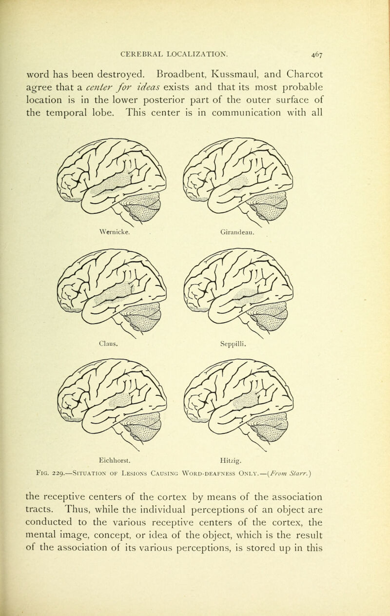 word has been destroyed. Broadbent, Kussmaul, and Charcot agree that a center for ideas exists and that its most probable location is in the lower posterior part of the outer surface of the temporal lobe. This center is in communication with all Wernicke. . Girandeau. Eichhorst. Hitzig, Fig. 229.—Situation of Lesions Causing Word-deafness Only.—{From Starr.) the receptive centers of the cortex by means of the association tracts. Thus, while the individual perceptions of an object are conducted to the various receptive centers of the cortex, the mental image, concept, or idea of the object, which is the result of the association of its various perceptions, is stored up in this