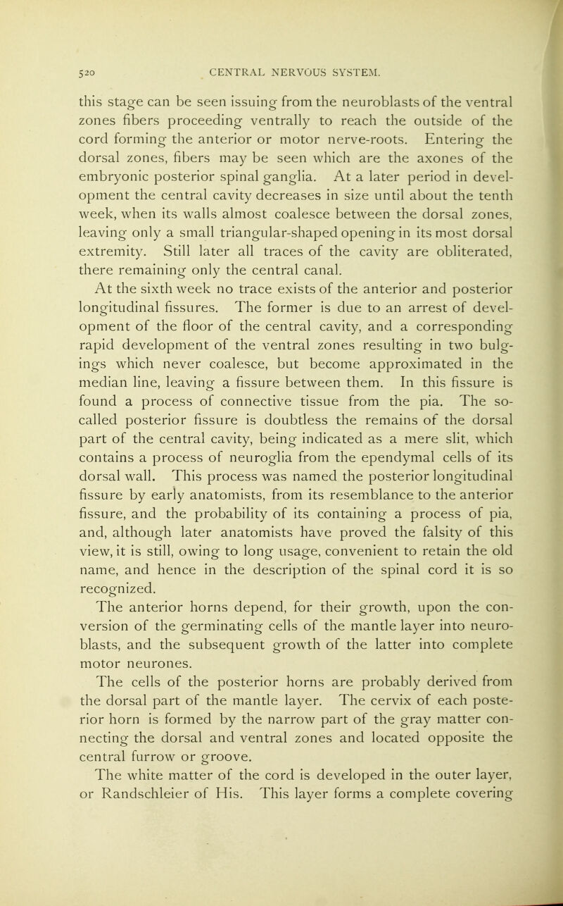 this stage can be seen issuing from the neuroblasts of the ventral zones fibers proceeding ventrally to reach the outside of the cord forming the anterior or motor nerve-roots. Entering the dorsal zones, fibers may be seen which are the axones of the embryonic posterior spinal ganglia. At a later period in devel- opment the central cavity decreases in size until about the tenth week, when its walls almost coalesce between the dorsal zones, leaving only a small triangular-shaped opening in its most dorsal extremity. Still later all traces of the cavity are obliterated, there remaining only the central canal. At the sixth week no trace exists of the anterior and posterior longitudinal fissures. The former is due to an arrest of devel- opment of the floor of the central cavity, and a corresponding rapid development of the ventral zones resulting in two bulg- ings which never coalesce, but become approximated in the median line, leaving a fissure between them. In this fissure is found a process of connective tissue from the pia. The so- called posterior fissure is doubtless the remains of the dorsal part of the central cavity, being indicated as a mere slit, which contains a process of neuroglia from the ependymal cells of its dorsal wall. This process was named the posterior longitudinal fissure by early anatomists, from its resemblance to the anterior fissure, and the probability of its containing a process of pia, and, although later anatomists have proved the falsity of this view, it is still, owing to long usage, convenient to retain the old name, and hence in the description of the spinal cord it is so recognized. The anterior horns depend, for their growth, upon the con- version of the germinating cells of the mantle layer into neuro- blasts, and the subsequent growth of the latter into complete motor neurones. The cells of the posterior horns are probably derived from the dorsal part of the mantle layer. The cervix of each poste- rior horn is formed by the narrow part of the gray matter con- necting the dorsal and ventral zones and located opposite the central furrow or groove. The white matter of the cord is developed in the outer layer, or Randschleier of His. This layer forms a complete covering