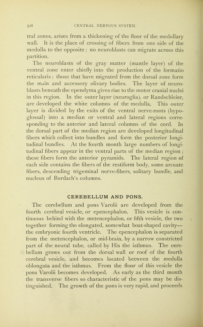 tral zones, arises from a thickening of the floor of the medullary wall. It is the place of crossing of fibers from one side of the medulla to the opposite ; no neuroblasts can migrate across this partition. The neuroblasts of the gray matter (mantle layer) of the ventral zone enter chiefly into the production of the formatio reticularis ; those that have migrated from the dorsal zone form the main and accessory olivary bodies. The layer of neuro- blasts beneath the ependyma gives rise to the motor cranial nuclei in this region. In the outer layer (neuroglia), or Randschleier, are developed the white columns of the medulla. This outer layer is divided by the exits of the ventral nerve-roots (hypo- glossal) into a median or ventral and lateral regions corre- sponding to the anterior and lateral columns of the cord. In the dorsal part of the median region are developed longitudinal fibers which collect into bundles and form the posterior longi- tudinal bundles. At the fourth month large numbers of longi- tudinal fibers appear in the ventral parts of the median region ; these fibers form the anterior pyramids. The lateral region of each side contains the fibers of the restiform body, some arcuate fibers, descending trigeminal nerve-fibers, solitary bundle, and nucleus of Burdach's columns. CEREBELLUM AND PONS. The cerebellum and pons Varolii are developed from the fourth cerebral vesicle, or epencephalon. This vesicle is con- tinuous behind with the metencephalon, or fifth vesicle, the two together forming the elongated, somewhat boat-shaped cavity— the embryonic fourth ventricle. The epencephalon is separated from the metencephalon, or mid-brain, by a narrow constricted part of the neural tube, called by His the isthmus. The cere- bellum grows out from the dorsal wall or roof of the fourth cerebral vesicle, and becomes located between the medulla oblongata and the isthmus. From the floor of this vesicle the pons Varolii becomes developed. As early as the third month the transverse fibers so characteristic of the pons may be dis- tinguished. The growth of the pons is very rapid, and proceeds