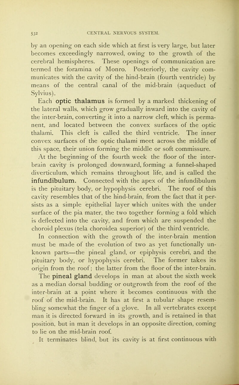 533 by an opening on each side which at first is very large, but later becomes exceedingly narrowed, owing to the growth of the cerebral hemispheres. These openings of communication are termed the foramina of Monro. Posteriorly, the cavity com- municates with the cavity of the hind-brain (fourth ventricle) by means of the central canal of the mid-brain (aqueduct of Sylvius). Each optic thalamus is formed by a marked thickening of the lateral walls, which grow gradually inward into the cavity of the inter-brain, converting it into a narrow cleft, which is perma- nent, and located between the convex surfaces of the optic thalami. This cleft is called the third ventricle. The inner convex surfaces of the optic thalami meet across the middle of this space, their union forming the middle or soft commissure. At the beginning of the fourth week the floor of the inter- brain cavity is prolonged downward, forming a funnel-shaped diverticulum, which remains throughout life, and is called the infundibulum. Connected with the apex of the infundibulum is the pituitary body, or hypophysis cerebri. The roof of this cavity resembles that of the hind-brain, from the fact that it per- sists as a simple epithelial layer which unites with the under surface of the pia mater, the two together forming a fold which is deflected into the cavity, and from which are suspended the choroid plexus (tela choroidea superior) of the third ventricle. In connection with the growth of the inter-brain mention must be made of the evolution of two as yet functionally un- known parts—the pineal gland, or epiphysis cerebri, and the pituitary body, or hypophysis cerebri. The former takes its origin from the roof; the latter from the floor of the inter-brain. The pineal gland develops in man at about the sixth week as a median dorsal budding or outgrowth from the roof of the inter-brain at a point where it becomes continuous with the roof of the mid-brain. It has at first a tubular shape resem- bling somewhat the finger of a glove. In all vertebrates except man it is directed forward in its growth, and is retained in that position, but in man it develops in an opposite direction, coming to lie on the mid-brain roof. It terminates blind, but its cavity is at first continuous with