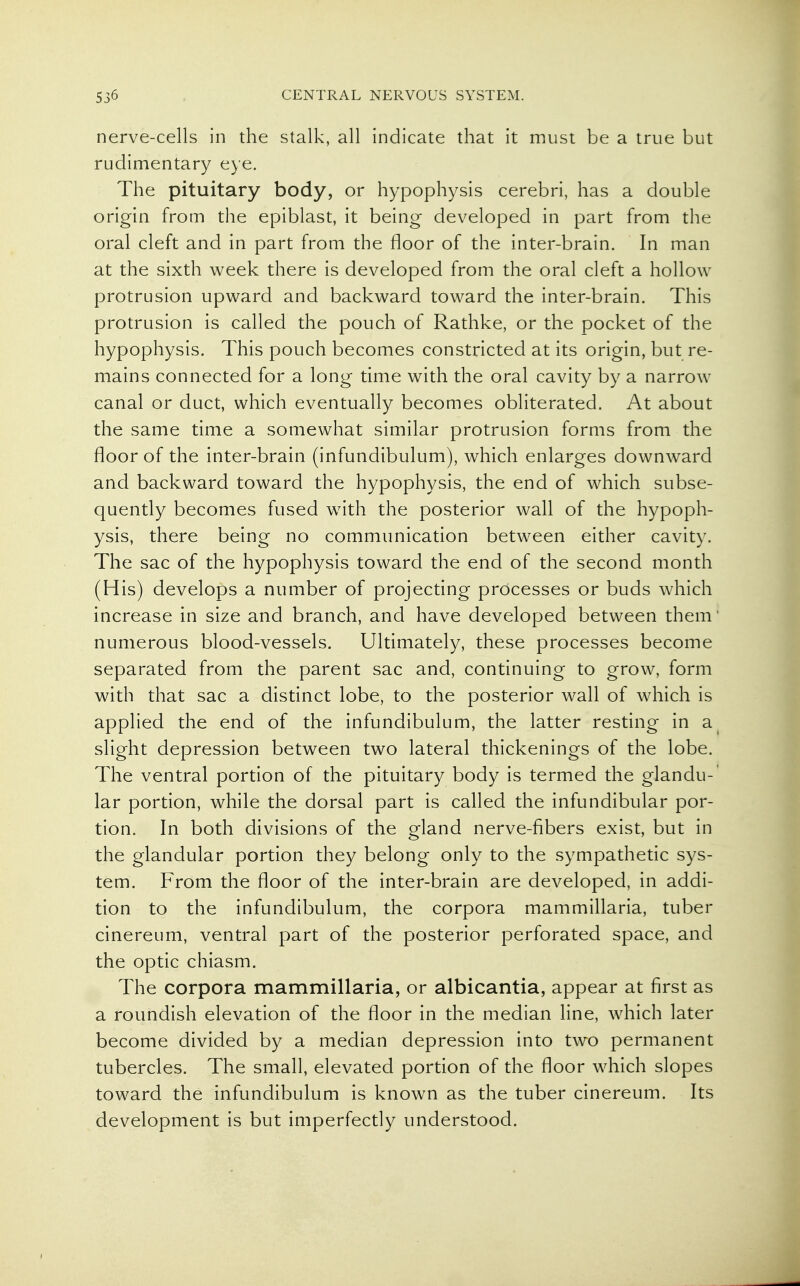 nerve-cells in the stalk, all indicate that it must be a true but rudimentary eye. The pituitary body, or hypophysis cerebri, has a double origin from the epiblast, it being developed in part from the oral cleft and in part from the floor of the inter-brain. In man at the sixth week there is developed from the oral cleft a hollow protrusion upward and backward toward the inter-brain. This protrusion is called the pouch of Rathke, or the pocket of the hypophysis. This pouch becomes constricted at its origin, but re- mains connected for a long time with the oral cavity by a narrow canal or duct, which eventually becomes obliterated. At about the same time a somewhat similar protrusion forms from the floor of the inter-brain (infundibulum), which enlarges downward and backward toward the hypophysis, the end of which subse- quently becomes fused with the posterior wall of the hypoph- ysis, there being no communication between either cavity. The sac of the hypophysis toward the end of the second month (His) develops a number of projecting processes or buds which increase in size and branch, and have developed between them' numerous blood-vessels. Ultimately, these processes become separated from the parent sac and, continuing to grow, form with that sac a distinct lobe, to the posterior wall of which is applied the end of the infundibulum, the latter resting in a slight depression between two lateral thickenings of the lobe. The ventral portion of the pituitary body is termed the glandu- lar portion, while the dorsal part is called the infundibular por- tion. In both divisions of the gland nerve-fibers exist, but in the glandular portion they belong only to the sympathetic sys- tem. From the floor of the inter-brain are developed, in addi- tion to the infundibulum, the corpora mammillaria, tuber cinereum, ventral part of the posterior perforated space, and the optic chiasm. The corpora mammillaria, or albicantia, appear at first as a roundish elevation of the floor in the median line, which later become divided by a median depression into two permanent tubercles. The small, elevated portion of the floor which slopes toward the infundibulum is known as the tuber cinereum. Its development is but imperfectly understood.