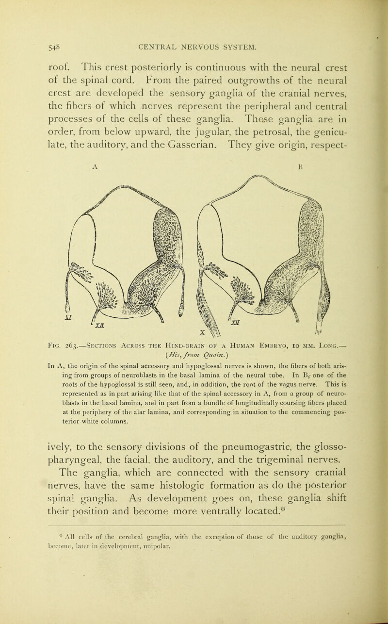 roof. This crest posteriorly is continuous with the neural crest of the spinal cord. From the paired outgrowths of the neural crest are developed the sensory ganglia of the cranial nerves, the fibers of which nerves represent the peripheral and central processes of the cells of these ganglia. These ganglia are in order, from below upward, the jugular, the petrosal, the genicu- late, the auditory, and the Gasserian. They give origin, respect- FiG. 263.—Sections Across the Hind-brain of a Human Embryo, 10 mm. Eong.— (His, frofii Qua ill.) In A, the origin of the spinal accessory and hypoglossal nerves is shown, the fibers of both aris- ing from groups of neuroblasts in the basal lamina of the neural tube. In B,- one of the roots of the hypoglossal is still seen, and, in addition, the root of the vagus nerve. This is represented as in part arising like that of the spinal accessory in A, from a group of neuro- blasts in the basal lamina, and in part from a bundle of longitudinally coursing fibers placed at the periphery of the alar lamina, and corresponding in situation to the commencing pos- terior white columns. ively, to the sensory divisions of the pneumogastric, the glosso- pharyngeal, the facial, the auditory, and the trigeminal nerves. The ganglia, which are connected with the sensory cranial nerves, have the same histologic formation as do the posterior spinal ganglia. As development goes on, these ganglia shift their position and become more ventrally located.* * All cells of the cerebral ganglia, with the exception of those of the auditory ganglia, become, later in development, unipolar.