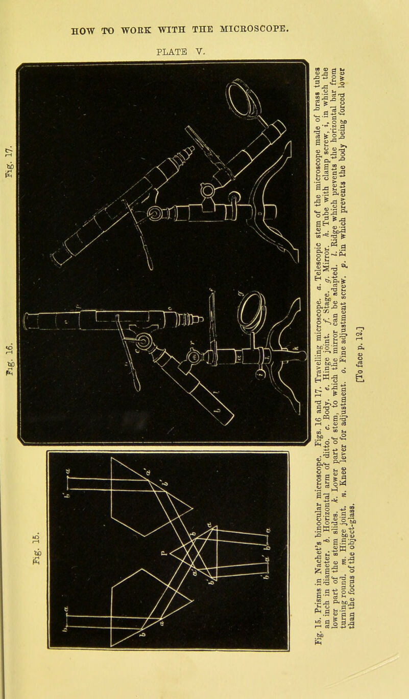 PLATE V. i