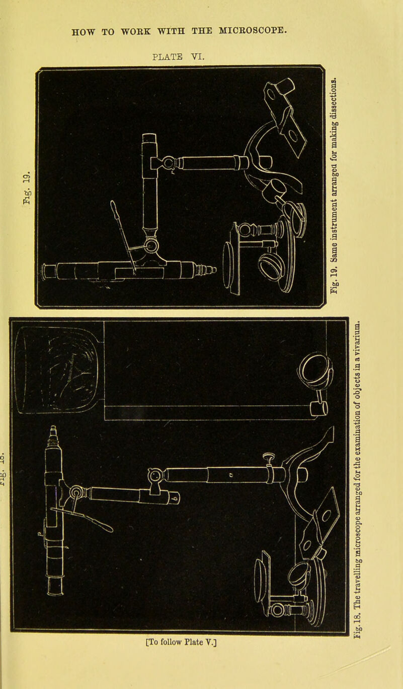 PLATE VI. [To follow Plate V.]