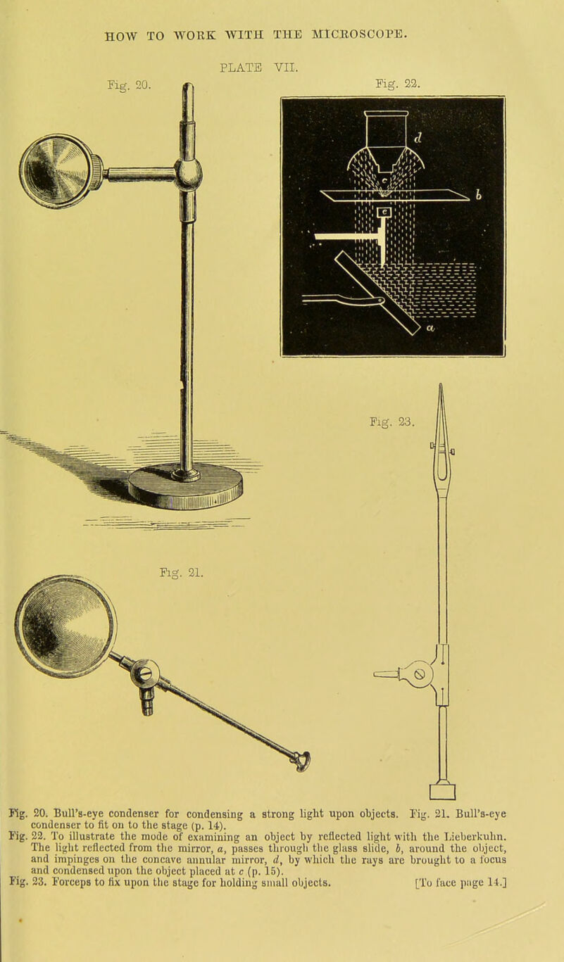 PLATE VII. Fig. 20. Bull's-eye condenser for condensing a strong light upon objects. I'ig. 21. Bull's-eye condenser to fit on to the stage (p. 14). Fig. 22. To illustrate the mode of examining an object by reflected light with the Lieberkuhn. The light reflected from the mirror, a, passes through the glass slide, b, around the object, and impinges on the concave annular mirror, d, by which the rays are brought to a locus and condensed upon the object placed at c (p. 15). Fig. 23. Forceps to fix upon the stage for holding small objects. [To face piige 14.]