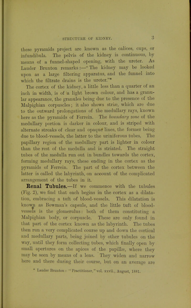 these pyramids project are known as the calices, cups, or infimdibula. The pelvis of the kidney is continuous, by means of a funnel-shaped opening, with the ureter. As Lauder Brunton remarks :— The kidney may be looked upon as a large filtering apparatus, and the funnel into which the filtrate drains is the ureter.* The cortex of the kidney, a little less than a quarter of an inch in width, is of a light brown colour, and has a granu- lar appearance, the granules being due to the presence of the Malpighian corpuscles; it also shows striiE, wliich are due to the outward prolongations of the medullary rays, known here as the pyramids of Ferrein. The boundary zone of the medullary portion is darker in colour, and is striped with alternate streaks of clear and opaque lines, the former being due to blood-vessels, the latter to the uriniferous tubes. The papillary region of the medullary part is lighter in colour than the rest of the medulla and is striated. The straight tubes of the medulla run out in bundles towards the cortex, forming medullary rays, these ending in the cortex as the pyramids of Ferrein. The part of the cortex between the latter is called the labyrinth, on account of the complicated arrangement of the tubes in it. Kenal Tubules.—If we commence with the tubules (Fig. 2), we find that each begins in the cortex as a dilata- tion, embracing a tuft of blood-vessels. This dilatation is know^i as Bowman's capsule, and the little tuft of blood- vessels is the glomerulus: both of them constituting a Malpighian body, or corpuscle. These are only found in that part of the cortex known as the labyrinth. The tubes then run a very complicated course up and down the cortical and medullary parts, being joined by other tubules on the way, until they form collecting tubes, which finally open by small apertures on the apices of the papillae, where they may be seen by means of a lens. They widen and narrow here and there during their course, but on an average are * Lauder Brunton :  Tractitioner, vol. xxvii., August, 1881.