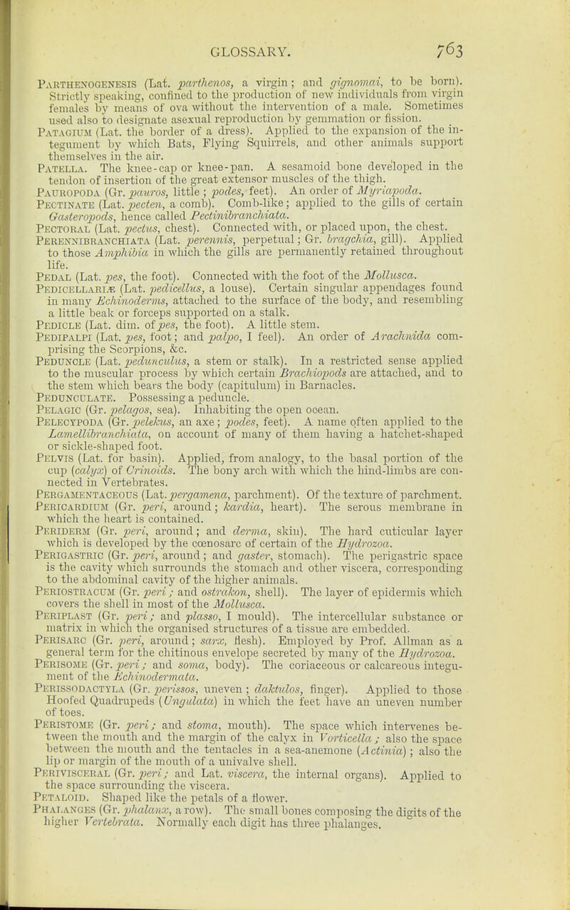 Parthenogenesis (Lat. parthenos, a virgin; and gignomai, to be born). Strictly speaiciug, confined to the i^roduction of new inilividuals from virgin females by means of ova without the intervention of a male. Sometimes used also to designate asexual reproduction by gemmation or fission. Patagium (Lat. the border of a dress). Applied to the expansion of the in- tegument by which Bats, Flying Squirrels, and other anhnals support themseh'es in the air. Patella. Tlie knee-cap or knee-pan. A sesamoid bone developed in the tendon of insertion of the great extensor muscles of the thigh. Pauropoda (Gr. pauros, little ; Ixodes, feet). An order of Myriapoda. Pectinate (Lat. 2}ecten, a comb). Comb-like; applied to the gills of certain Gasteropods, hence called Fedinibranchiata. Pectoral (Lat. pectus, chest). Connected with, or placed upon, the chest. Perennibranchiata (Lat. perennis,_ perpetual; Gr. hragckia, gill). Applied to those Amphibia in which the gills are permanently retained throughout life. Pedal (Lat. pes, the foot). Connected with the foot of the Mollusca. Pedicellari-e (Lat. pedicellus, a louse). Certain singular appendages found in many Echinoderins, attached to the surface of the body, and resembling a little beak or forceps snpported on a stalk. Pedicle (Lat. dim. of pes, the foot). A little stem. Pedipalpi (Lat. j^es, foot; polpo, I feel). An order of Arachnida com- prising the Scorpions, &c. Peduncle (Lat. 2>edu/iculus, a stem or stalk). In a restricted sense applied to the muscular process by whicli certain BrachioiMds are attached, and to the stem which bears the body (capitulum) in Barnacles. Pedunculate. Possessing a pediincle. Pelagic (Gr. 2}elagos, sea). Inhabiting the open ocean. Pelecypoda (Gr. pelekus, an axe ; podes, feet). A name often applied to the Lcmellibranchiuia, on accoimt of many of them having a hatchet-shaped or sickle-shaped foot. Pelvis (Lat. for basin). Applied, from analogy, to the basal portion of the cup (ccclgx) of Crinoids. The bony arch with which the hind-limbs are con- nected in Vertebrates. Pergamentaceous [Ij^t.pergainena, parchment). Of the texture of parchment. Pericardium (Gr. peri, around; kardia, heart). The serous membrane in which the heart is contained. Periderm (Gr. ^jeri, around; and derma, skin). The hard cuticular layer which is developecl by the coenosarc of certain of the Hydrozoa. Perig.'VSTRic (Gr. ^eri, around; and gaster, stomach). The perigastric space is the cavity which surrounds the stomach and other viscera, corresiDOudiug to the abdominal cavity of the higher animals. Periostracum (Gr. peri; and ostrakon, shell). The layer of epidermis which covers the shell in most of the Mollusca. Periplast (Gr. peri; and plasso, I mould). The intercellular substance or matrix in which the organised structures of a tissiie are embedded. Perisarc (Gr. peri, aronnd; sarx, flesh). Employed by Prof. Allman as a general term for the chitinous envelope secreted by many of the Hydrozoa. Perisome (Gr. jjeH ; and soma, body). The coriaceous or calcareous integu- ment of the Echinodermata. Perissodactyla (Gr. perissos, uneven ; daktnlos, finger). Applied to those Hoofed Quadrupeds {Ungalata) in which the feet have an uneven number of toes. Peristome (Gr. peri; and stoma, mouth). The space which intervenes be- tween the mouth and the margin of the calyx in Vorticella ; also the space between the mouth and the tentacles in a sea-anemone [Actinia); also the lip or margin of the mouth of a univalve shell. Perivisceral (Gv.peri; and Lat. viscera, the internal organs). Applied to the space .surrounding the viscera. Petaloid. Shaped like the petals of a fiower. Phalanges (Gr. phalanx, a row). Thc' small bones composing the digits of the higher Vcrtehrata. Normally each digit has three phalanges.