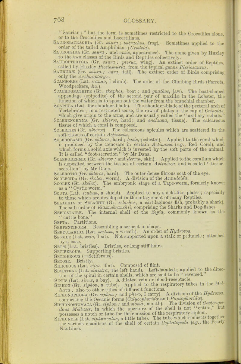 Saurian ;  but the term is sometimes restricted to the Crocodiles alone, or to tlie Crocodiles and Lacertilians. ' Sauuobathachia (Gr. saura ; batrachos, frog). Sometimes applied to tlie order of tlie tailed Amphibians (Urodela). Sauuopsida (Gr. saura ; and ofsk, appearance). The name given by Huxley to the two classes of tlie IJirds and Reptiles collectively. Sauuoptkrygia (Gr. saura ; ptcrax, wing). An extinct order of Reptiles. called Ijy Huxley Plesiosauria, from the typical genus Plesiosauriiis. Sauuuu.'E (Gr. saura; oura, tail). The extinct order of Birds comprising only the Arclueopte.fyx. SCANSOHES (Lat. scando, I climb). The order of the Climbing Birds (Parrots, Woodpeckers, &c.). ScAPHOGNATHiTE (Gr. skaphos, boat; and gnathos, jaw). The boat-shaped appendage (epipodite) of the second pair of maxillae in the Lobster, the function of which is to spoon out the water from the branchial chamber. Scapula (Lat. for shoulder-blade). The shoulder-blade of the pectoral arch of Vertebrates ; in a restricted sense, the row of plates in the cup of Crimids, which give oi'igin to the arms, and are usually called the axillary radials. ScLERENCHYMA (Gr. sMeros, hard; and enchuma, tissue). The calcareous tissue of which a coral is composed. ScLERiTEs (Gr. skleros). The calcareous spicules which are scattered in the soft tissues of certain Actinozoa. ScLEROBASic (Gr. skleros, hard ; basis, pedestal). Applied to the coral which is produced by the coenosarc in certain Actinozoa (e.g., Red Coral), and which forms a solid axis which is invested by the soft parts of the animal. It is called  foot-secretion  by Mr Dana. Sclerodermic (Gr. skleros ; and derma, skin). Applied to the corallum which is deposited between the tissues of certain Actinozoa, and is called  tissue- secretiou  by Mr Dana. Sclerotic (Gr. skleros, hard). The outer dense fibrous coat of the eye. ScoLEClDA (Gr. skolex, worm). A division of the Annidoida. ScOLEX (Gr. skolex). The embryonic stage of a Tape-worm, formerly known as a  Cystic worm. Scuta (Lat. scutum, a shield). Applied to any shield-like plates; especially to those which are developed in the integument of many Reptiles. Selachia or Selachii (Gr. selachos, a cartilaginous llsh, probably a shark). The sub-order of Elasmobranchii, comprising the Sharks and Dog-fishes. Sepiostaire. The internal shell of the Sepia, commonly known as the  cuttle-bone. Septa. Partitions. Serpentiform. Resembling a serpent in shape. Sertularida (Lat. sertum, a wreath). An order of Hydrozna. Sessile (Lat. sedo, I sit). Not supported upon a stalk or peduncle ; attached by a base. Set^ (Lat. bristles). Bristles, or long stiff hairs. Setiferous. Supporting bristles. Setigerous (=Setiferous). Setose. Bristly. Siliceous (Lat. silex, flint). Composed of flint. Sinistral (Lat. sinistra, the left hand). Left-handed ; applied to ^the direc- tion of the spiral in certain shells, which are said to be reversed. Sinus (Lat. simis, a bay). A dilated vein or blood-receptacle. Siphon (Gr. siphon, a tube). Applied to the respiratory tubes m the Mol- lusca ; also to other tubes of different functions. SiPHONOPHORA (Gr. siphon; andphero, I carry). A division of the Hydrozoa, comprising the Oceanic forms [Calycophoridw and Physophoridai). Siphonostomata (Gr. siphon ; and stoma, mouth). The division of Gasteropo- duus Molluscs, in which the aperture of the shell is not entire, but possesses a notch or tube for the emission of the respiratory siphon. Siphuncle (Lat. siphunculus, a little tube). The tube which connects together the various chambers of the shell of certain Cephalopoda {e.g., the 1 early Nautilus).