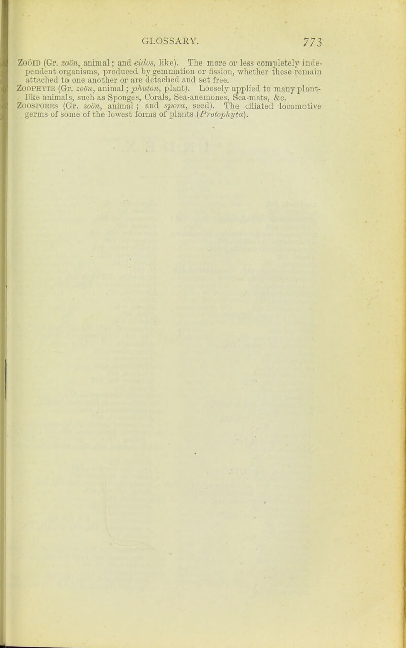 ZooiD (Gr. zoiin, animal; aiul eidos, like). The more or less completely iiide- peudent organisms, produced by gemmation or lission, whether these remain attached to one another or are detached and set fi-ee. Zoophyte (Gr. zou)i, animal; j^J^ulon, plant). Loosely applied to many plant- like animals, such as Si^onges, Corals, Sea-anemones, Sea-mats, &c. Zoospores (Gr. zoon, animal; and spora, seed). The ciliated locomotive germs of some of the lowest forms of plants .{Protophyta).
