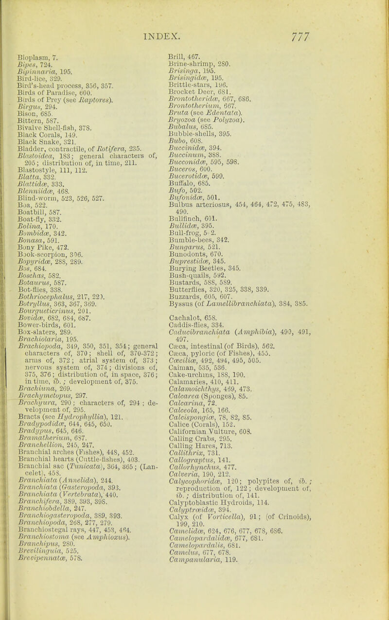 Bioplasm, 7. Bipa; 724. Bipiiinaria, 195. Bird-lice, S'lO. Bird's-head process, 356, 357. Birds of Paradise, COO. Birds of Pi-ey (see liaptoren). Birgun, 294. Bison, 6S5. Bittern, 5S7. Bivalve Shell-flsh, 378. Black Corals, 149. Black Snake, 321. Bladder, contractile, of Rot if era, 235. Blastoidea, 1S3; general cliaracters of, 205; distribution of, in time, 211. Blastostyle, 111, 112. Blatta, 332. Blattidce, 333. Blcnniidce, 468. Blind-worin, 523, 526, 527. Boa, 522. Boatbill, 587. Boat-fly, 332. Bolina, 170. Bumbidce, 342. Bonasa, 591. Bony Pike, 472. Bjok-scorpion, 306. Bopyridoe, 288, 289. Bos, 684. Boschas, 582. Botaunis, 587. Bot-flies, 338. Bothrioccphahis, 217, 22). Butryllus, 363, 367, 369. Bourgiieticrinus, 201. Bovidce, 682, 684, 687. Bower-birds, 601. Box-slaters, 289. Brachiolaria, 195. Brachioiioda, 349, 350, 351, 354; general characters of, 370; shell of, 370-372 ; arms of, 372; atrial system of, 373; nervous system of, 374 ; divisions of, 375, 376 ; distribution of, in space, 376; in time, ib.; development of, 376. Brachiima, 269. Brachymetvpus, 297. Bixichyura, 290; characters of, 294 : de- velopment of, 295. Bracts (see Hydrophyllia), 121. Bradypodidce, 644, 645, 650. Brady plus, 645, 646. Bramatheriuin, 6S7. Branchellion, 245, 247. Branchial arches (Fishes), 448, 452. Branchial hearts (Cuttle-fishes), 403. Branchial sac {Tunicata), 304, 365 ; (Lan- celet), 453. Branchiata (Annelida), 244. Branchiata (Gasteropoda, 393. Branchiata (Vertebrata), 440. Branchifera, 389, 393, 39S. Branchiobdella, 247. BrancluMjasteropoda, 389, 393. Branchiopoda, 268, 277, 279. Branchiostegal rays, 447, 453, 4fi4. Branchiostovm (see Amphioxus). Branchijnis, 280. Brevilinyuia, 525. Breoijiennatoe, 578. Brill, 467. Brine-slirimp, 280. Brisinga, 195. Brisingido!, 195. Brittle-stars, l!)6. Brocket Deer, 681. Brontotheridce, 667, 686. Brontotheriurn, 567. Bruta (see Edentata). Bryozoa (see Polyzoa). Bubalus, 685. Bubble-shells, 395. Bubo, 608. Buccinidm, 394. Buccinurri; 388. Bucconidce, 595, 598. Buceros, 600. Bucerotidce, 599. Bufialo, 685. Bu/o, 502. Bufonidce, 501. Bu'lbus arteriosus, 454, 464, 472, 475, 483, 490. Bullfinch, 601. BuUidai, 395. Bull-frog, 6' 2. Bumble-bees, 342. Bungarus, 521. Bunodonts, 670. Buprestidce, 345. Burying Beetles, 345. Bush-quails, 592. Bustards, 588, 589. Butterflies, 320, 325, 838, 339. Buzzards, 605, 607. Byssus (of LamelUbranchiata), 3S4, 385. Cachalot, 658. Caddis-flies, 334. Caducibraiichiata (Amphibia), 490, 491, 497. Cwca, intestinal (of Birds), 562. Caeca, pyloric (of Fishes), 455. Ccecilice, 492, 494, 495, 505. Caiman, 535, 536. Cake-urchins, 188, 190. Calamaries, 410, 411. Calamoichthys, 469, 473. Calcarca (Sponges), 85. Calcarina, 72. Calceola, 165, 166. Calcispongice, 78, 82, 85. Calice (Corahs), 152. Californian Vulture, 60S. Calling Crabs, 295. Calling Hares, 713. Caliithrix, 731. Callograptus, 141. Callurhynchus, 477. Calveria, 190, 212. Calycophoridm, 120; polypites of, ib. ; reproduction of, 122; development of, ib. ; distribution of, 141. Calyptoblastic Hydroids, 114. Calyptroiidai, 394. Calyx (of Vorticella), 91; (of Crinoids), 199 210. Camo'lidai, 624, 676, 677, 678, 686. Cavielopardalidce, 677, 681. Camelopardalis, 681. Camdus, 677, 678. Campanularia, 119.