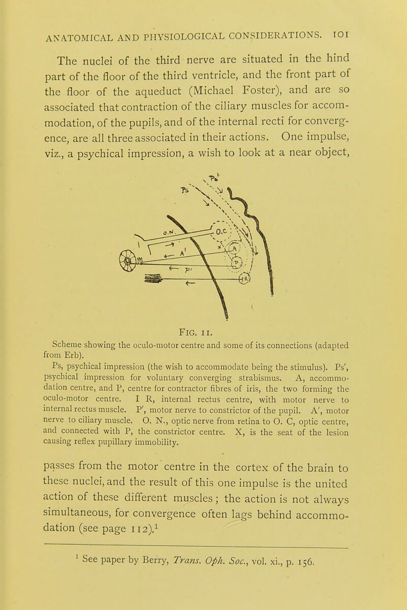 The nuclei of the third nerve are situated in the hind part of the floor of the third ventricle, and the front part of the floor of the aqueduct (Michael Foster), and are so associated that contraction of the ciliary muscles for accom- modation, of the pupils, and of the internal recti for converg- ence, are all three associated in their actions. One impulse, viz., a psychical impression, a wish to look at a near object. Fig. II. Scheme showing the oculo-motor centre and some of its connections (adapted from Erb). Ps, psychical impression (the wish to accommodate being the stimulus). Ps', psychical impression for voluntary converging strabismus. A, accommo- dation centre, and P, centre for contractor fibres of iris, the two forming the oculo-motor centre. I R, internal rectus centre, with motor nerve to internal rectus muscle. P', motor nerve to constrictor of the pupil. A', motor nerve to ciliary muscle. O. N., optic nerve from retina to O. C, optic centre, and connected with P, the constrictor centre. X, is the seat of the lesion causing reflex pupillary immobility. passes from the motor centre in the cortex of the brain to these nuclei, and the result of this one impulse is the united action of these different muscles; the action is not always simultaneous, for convergence often lags behind accommo- dation (see page ii2y ' See paper by Berry, Trans. Oph. Soc, vol. xi., p. 156.