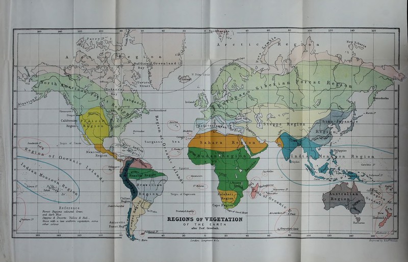 London. Lonamai's ib Co