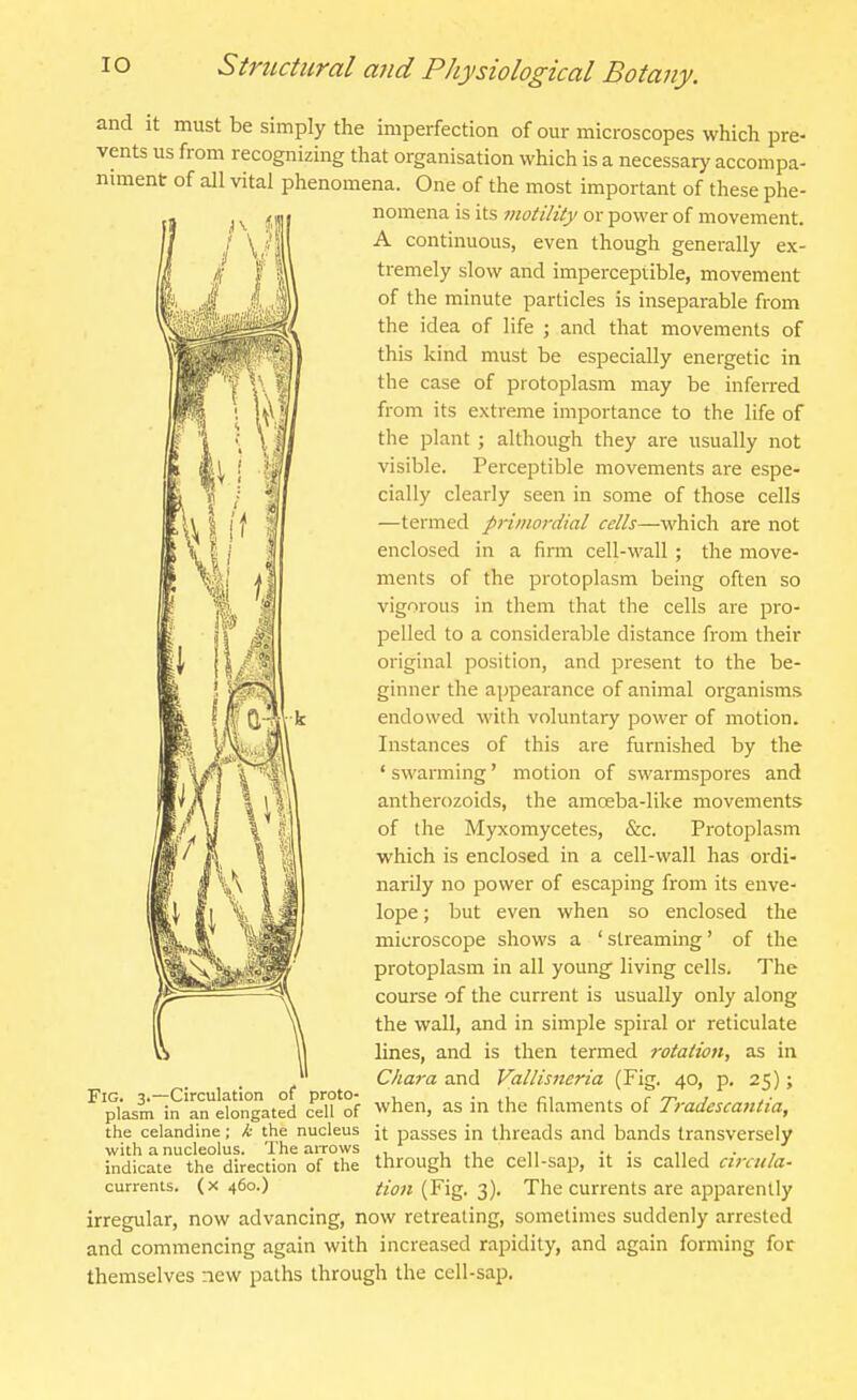 and it must be simply the imperfection of our microscopes which pre- vents us from recognizing that organisation which is a necessary accompa- One of the most important of these phe- niment of all vital phenomena. 1 nomena is its motility or power of movement. A continuous, even though generally ex- tremely slow and imperceptible, movement of the minute particles is inseparable from the idea of life ; and that movements of this kind must be especially energetic in the case of protoplasm may be inferred from its extreme importance to the life of the plant ; although they are usually not visible. Perceptible movements are espe- cially clearly seen in some of those cells —termed primordial cells—-which are not enclosed in a firm cell-wall; the move- ments of the protoplasm being often so vigorous in them that the cells are pro- pelled to a considerable distance from their original position, and present to the be- ginner the appearance of animal organisms endowed with voluntary power of motion. Instances of this are furnished by the ' swarming' motion of swarmspores and antherozoids, the amosba-like movements of the Myxomycetes, &c. Protoplasm which is enclosed in a cell-wall has ordi- narily no power of escaping from its enve- lope ; but even when so enclosed the microscope shows a 'streaming' of the protoplasm in all young living cells. The course of the current is usually only along the wall, and in simple spiral or reticulate lines, and is then termed rotation, as in Chara and Vallis7ieria (Fig. 40, p. 25) ; plasm in an etongated cdT'of when, as in the filaments of Tradescantia, the celandine; k the nucleus jt passes in threads and bands transversely with a nucleolus. The arrows n • 1, 1 • , indicate the direction of the through the cell-sap, it IS Called ciraila- currents. (x 460.) (Fig. 3). The currents are apparently irregular, now advancing, now retreating, sometimes suddenly arrested and commencing again with increased rapidity, and again forming for themselves new paths through the cell-sap. Fig. 3.—Circulation of proto-