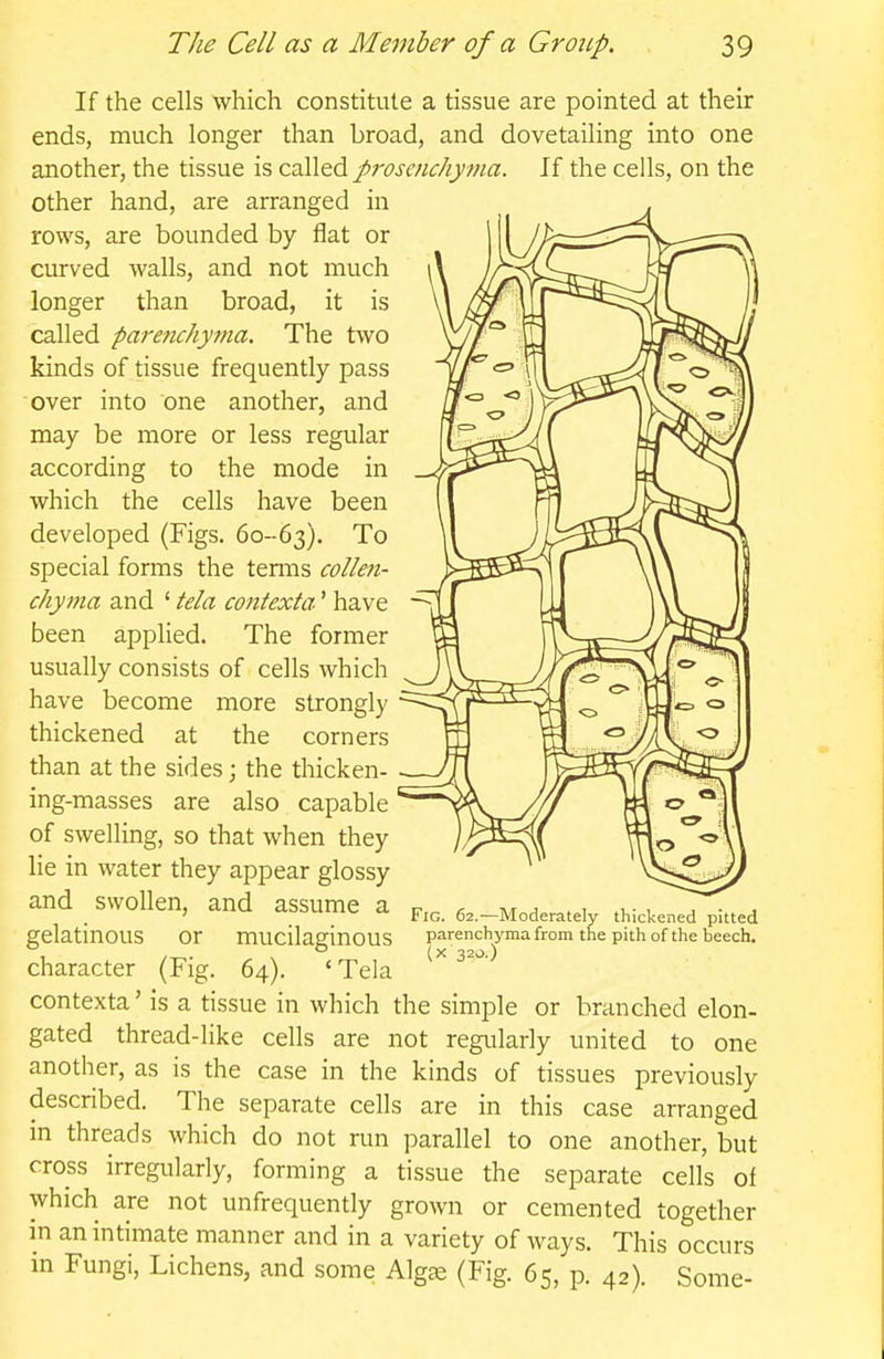 If the cells which constitute a tissue are pointed at their ends, much longer than broad, and dovetailing into one another, the tissue is called prosmchyma. If the cells, on the other hand, are arranged in rows, are bounded by flat or curved walls, and not much longer than broad, it is called parenchyma. The two kinds of tissue frequently pass over into one another, and may be more or less regular according to the mode in which the cells have been developed (Figs. 60--63). To special forms the temis collen- chyma and ' tela contexta.' have been applied. The former usually consists of cells which have become more strongly thickened at the corners than at the sides j the thicken- ing-masses are also capable of swelling, so that when they lie in water they appear glossy and swollen, and assume a r. at j . 1 i,- , ^ • ^ ' ooi-iwiv- a, p-j^ 62.—Moderately thickened pitted gelatinous or mucilaginous parenchymafrom the pith of the beech. character (Fig. 64). 'Tela ^^'^ contexta' is a tissue in which the simple or branched elon- gated thread-like cells are not regularly united to one another, as is the case in the kinds of tissues previously described. The separate cells are in this case arranged in threads which do not run parallel to one another, but cross irregularly, forming a tissue the separate cells of which are not unfrequendy grown or cemented together in an intimate manner and in a variety of ways. This occurs in Fungi, Lichens, and some Algge (Fig. 65, p. 42). Some-